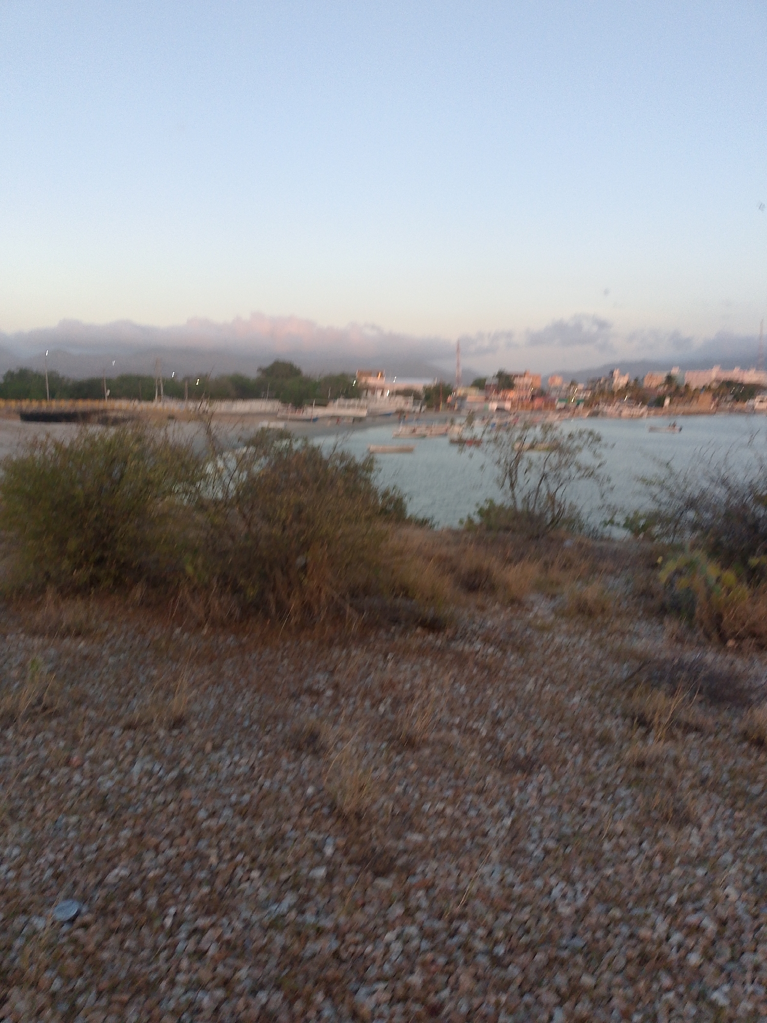 The image shows a view overlooking the bay of Juan Griego, Venezuela. In the foreground is a patch of dry, rocky ground with sparse vegetation. Beyond that, shrubs and some bare trees partially obscure the view of the water. In the bay, there are several small boats anchored. Across the water, the city of Juan Griego is visible, with buildings stretching along the coastline. In the background, there are hills or mountains with a layer of clouds or mist hanging over them. The sky is a pale blue, suggesting it is either early morning or late evening.
