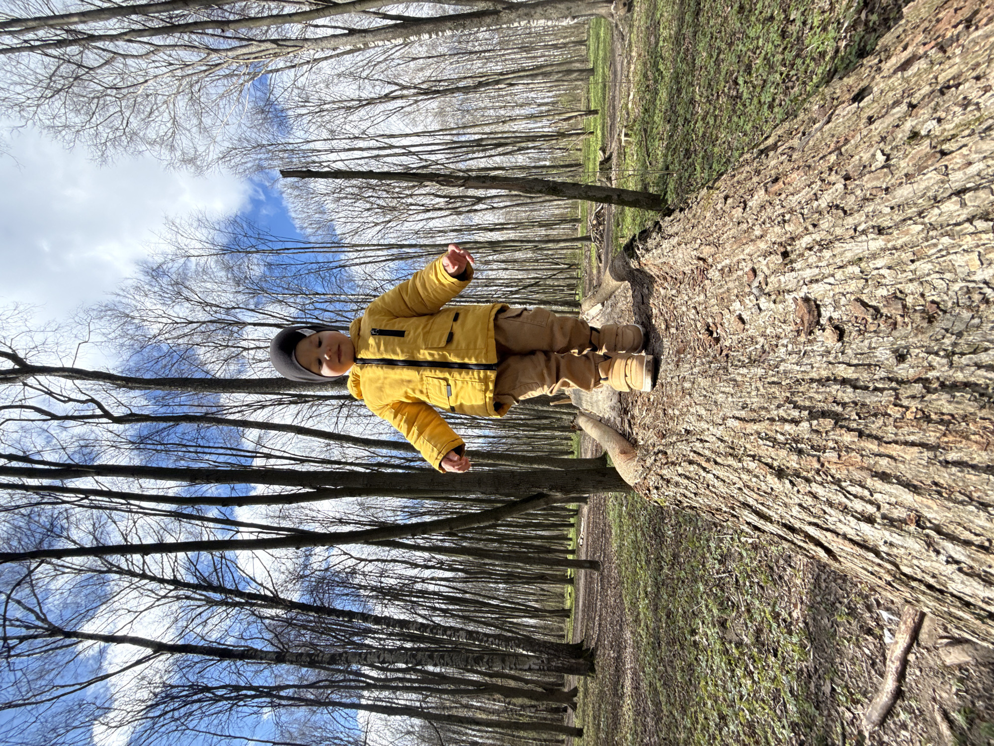 A young child wearing a yellow jacket, brown pants, and a gray hat is standing on a fallen tree trunk in a forest. The trunks of many bare trees rise vertically in the background, reaching toward a blue sky with scattered white clouds. The forest floor has green patches and brown leaves. The location is possibly Rusanovo, Russia, given the prompt's instruction.