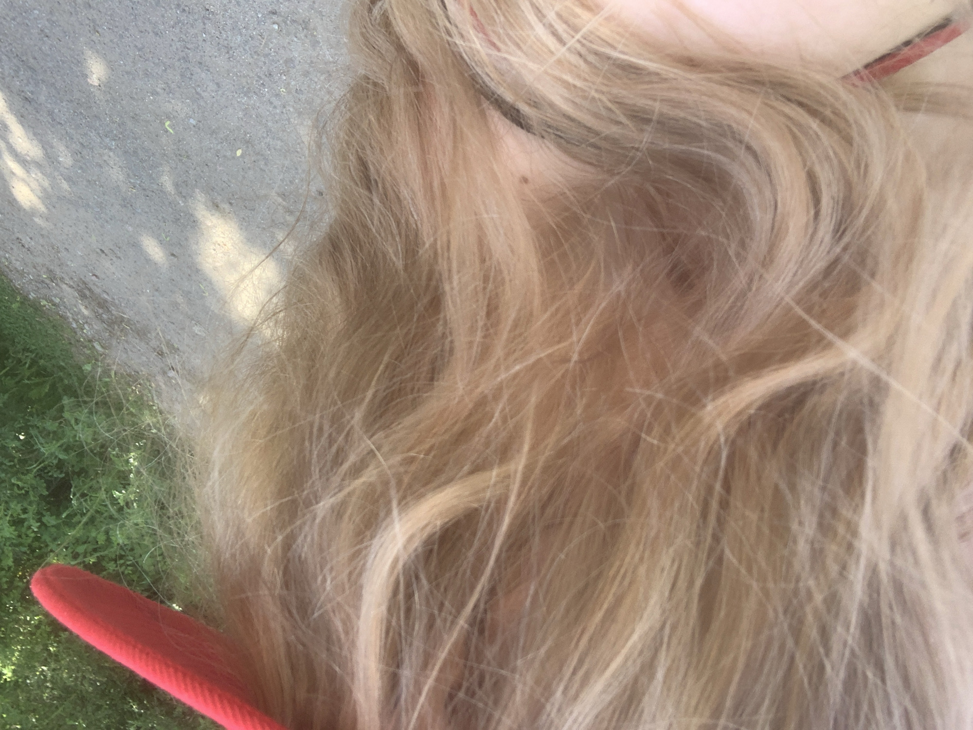 The image displays a close-up, downward-angled perspective, primarily featuring a mass of blonde hair and an outdoor background. The hair exhibits varied blonde tones, appearing fine in texture with visible individual strands, some showing slight waviness or flyaways. A curved, solid red object made of a textured fabric, possibly a brim or band with a ribbed edge, is partially visible in the upper left, consistent with an item of headwear. A small area of skin, likely from the neck or ear, is visible on the lower right, featuring a small, dark mole.
The background consists of two main elements. The upper left shows out-of-focus green foliage, indicative of dense plant life. The remainder of the background, extending from the upper right to the lower right, depicts a gray, granular ground surface, consistent with a dirt or gravel path. This surface displays distinct patterns of sunlight and shadow, suggesting direct outdoor illumination. Small green specks are present on the ground surface. The scene portrays an unspecified outdoor natural or semi-natural environment.