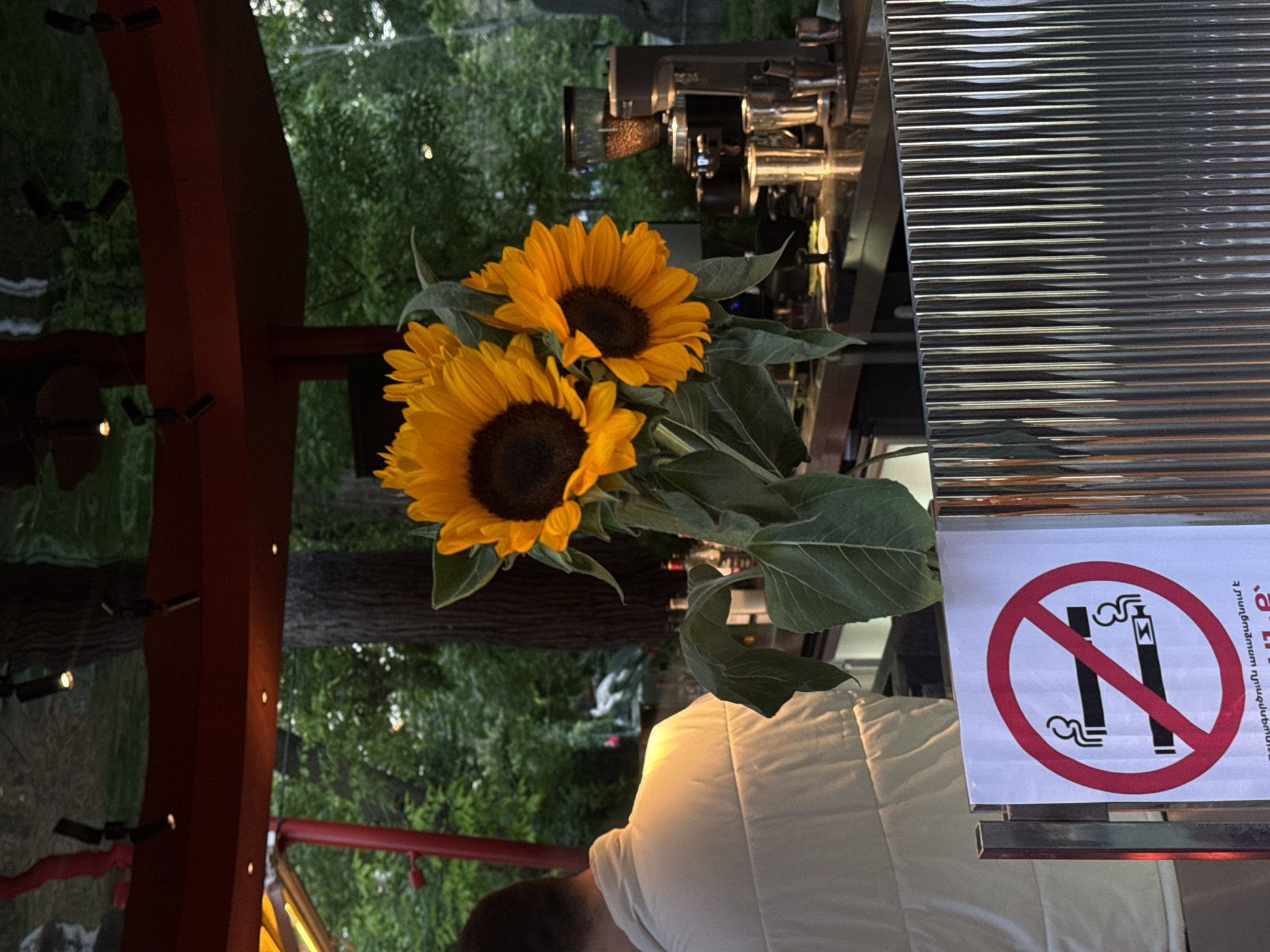 The image shows a view from a semi-outdoor setting. There are two sunflowers in the foreground, with green leaves. To the right is a vertical, corrugated metal surface on which a "No Smoking" sign is posted. A person wearing a white, quilted jacket is visible below the sunflowers and the sign. The person's head is in the lower-center of the image.
In the background, partially obscured by the sunflowers, is a coffee machine and the foliage of trees. Red-painted structural elements with small lights are also present. Based on the presence of Armenian script on the "No Smoking" sign, it's likely this scene is located in Yerevan, Armenia.