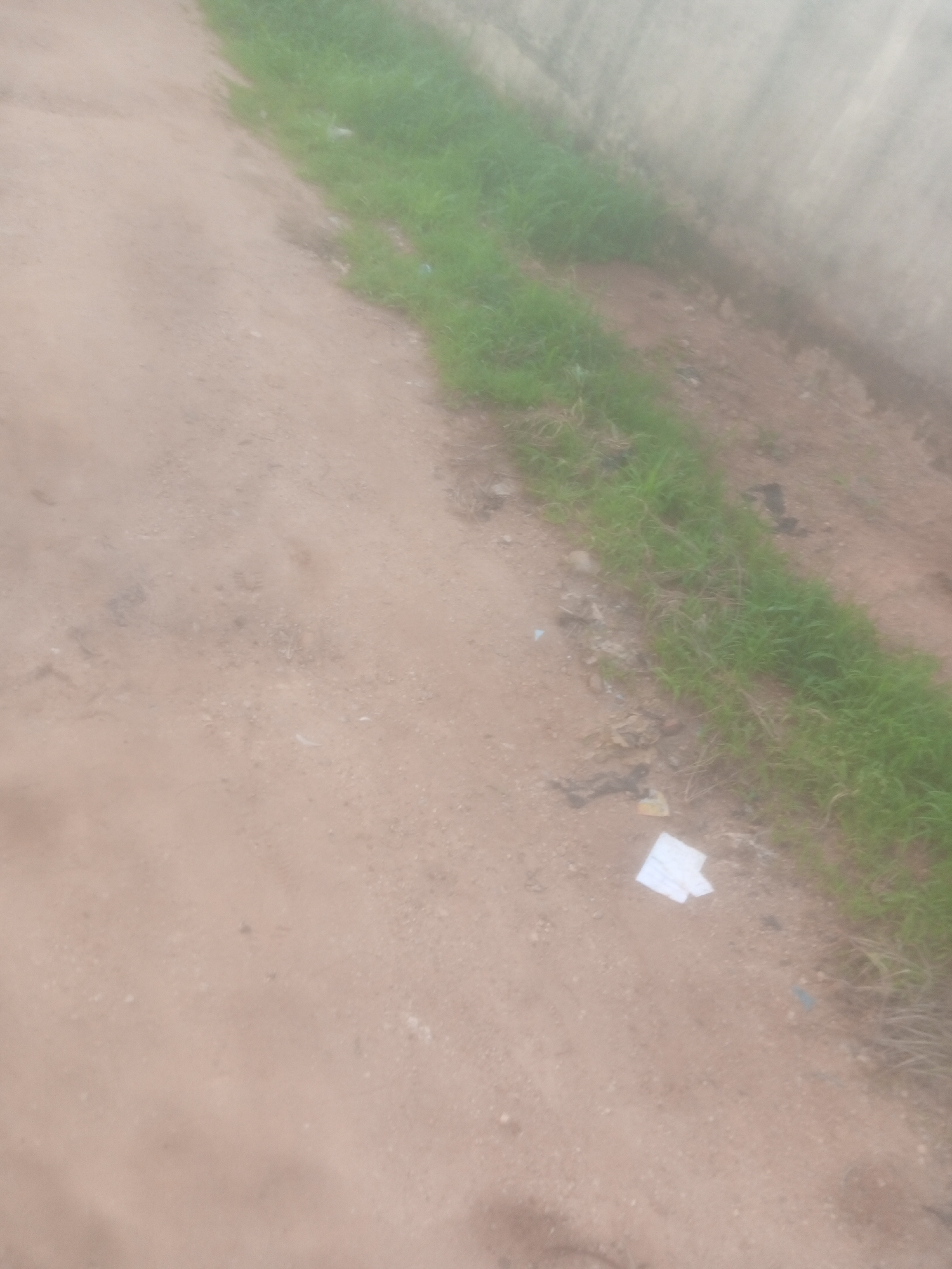 The image depicts an outdoor scene, likely a dirt road or path, with a strip of green grass running along its edge, bordering a concrete wall. The ground is mostly dry and sandy, with some small pebbles and debris scattered about. A few pieces of white paper are visible on the ground near the grass. The overall impression is one of a simple, unpaved area, possibly in a rural or semi-urban setting in Jalingo, Nigeria. The lighting suggests it is daytime, but the atmospheric haze makes it difficult to determine the exact time. There is no text visible in the image. The scene conveys a sense of ordinariness, with no particular event or activity clearly indicated.