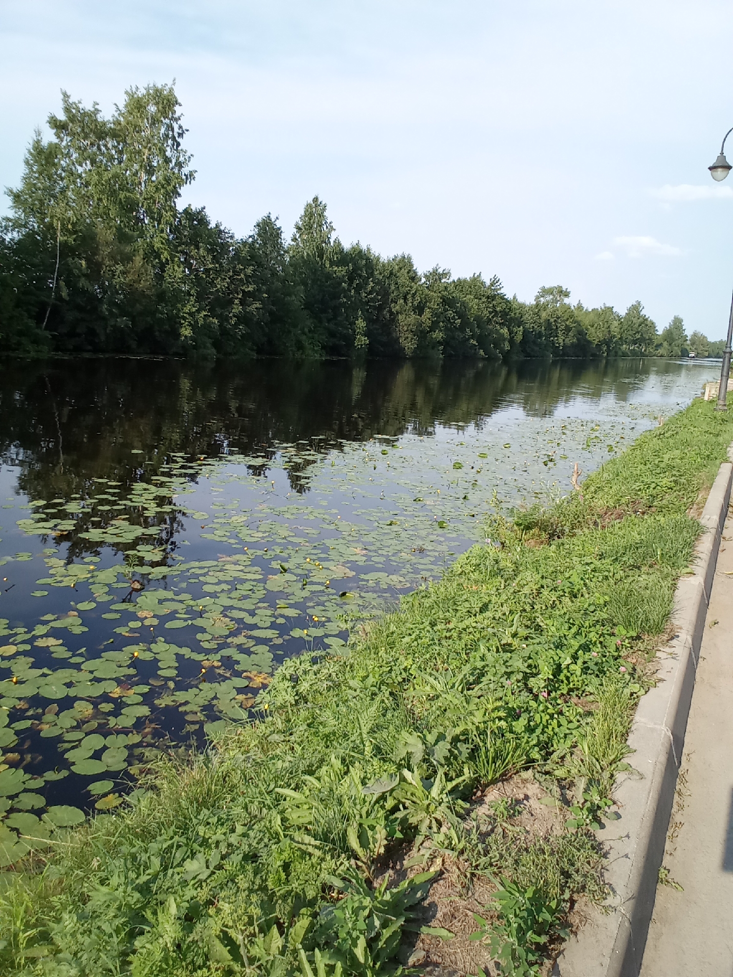 The image depicts a tranquil canal lined with lush green trees on the left bank. The water's surface is partially covered with lily pads and small yellow flowers. On the right bank, there is a paved walkway with a concrete curb, bordered by dense green grass and vegetation. A single lamppost stands tall on the right side of the walkway. The sky is a clear, pale blue with a few faint clouds. The scene appears to be in a quiet, natural setting within the city of Belozersk, Russia.