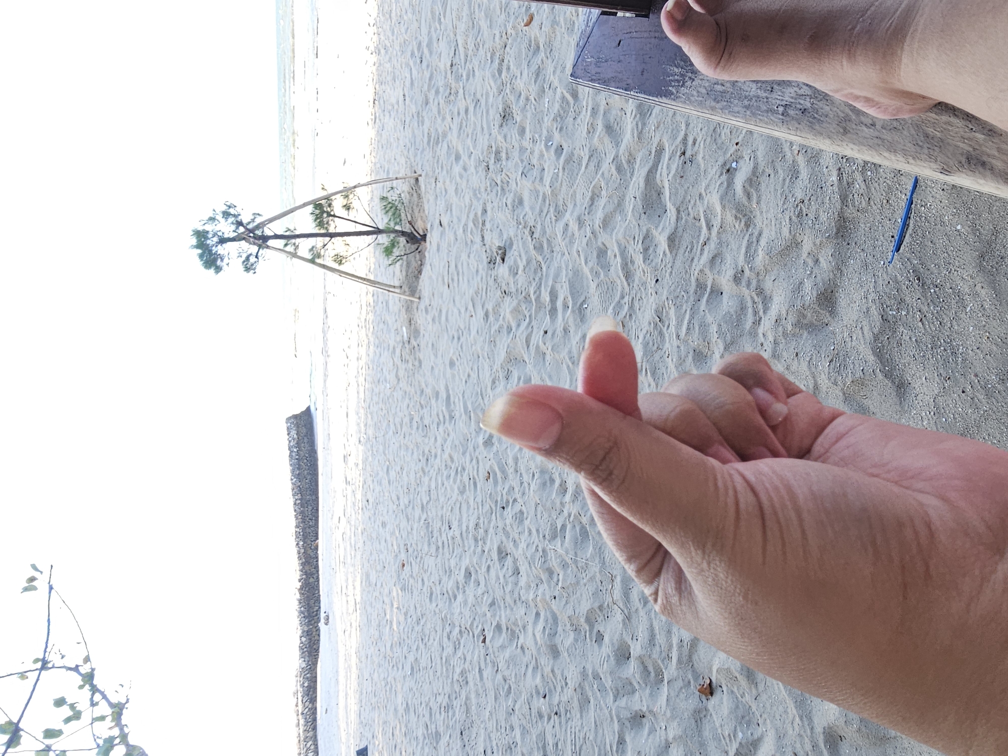 A close-up shot shows a person's hand making a heart shape with their thumb and index finger, positioned in the foreground of a sandy beach. Behind the hand, the beach stretches out towards the ocean, with gentle waves visible on the horizon. A small tree, supported by a tripod-like structure, stands in the sand. A stone breakwater is visible further down the beach, and a few leaves from a tree hang into the frame from the top left. The overall atmosphere is one of relaxation and a beachside setting. The location is identified as Dalegan, Indonesia.