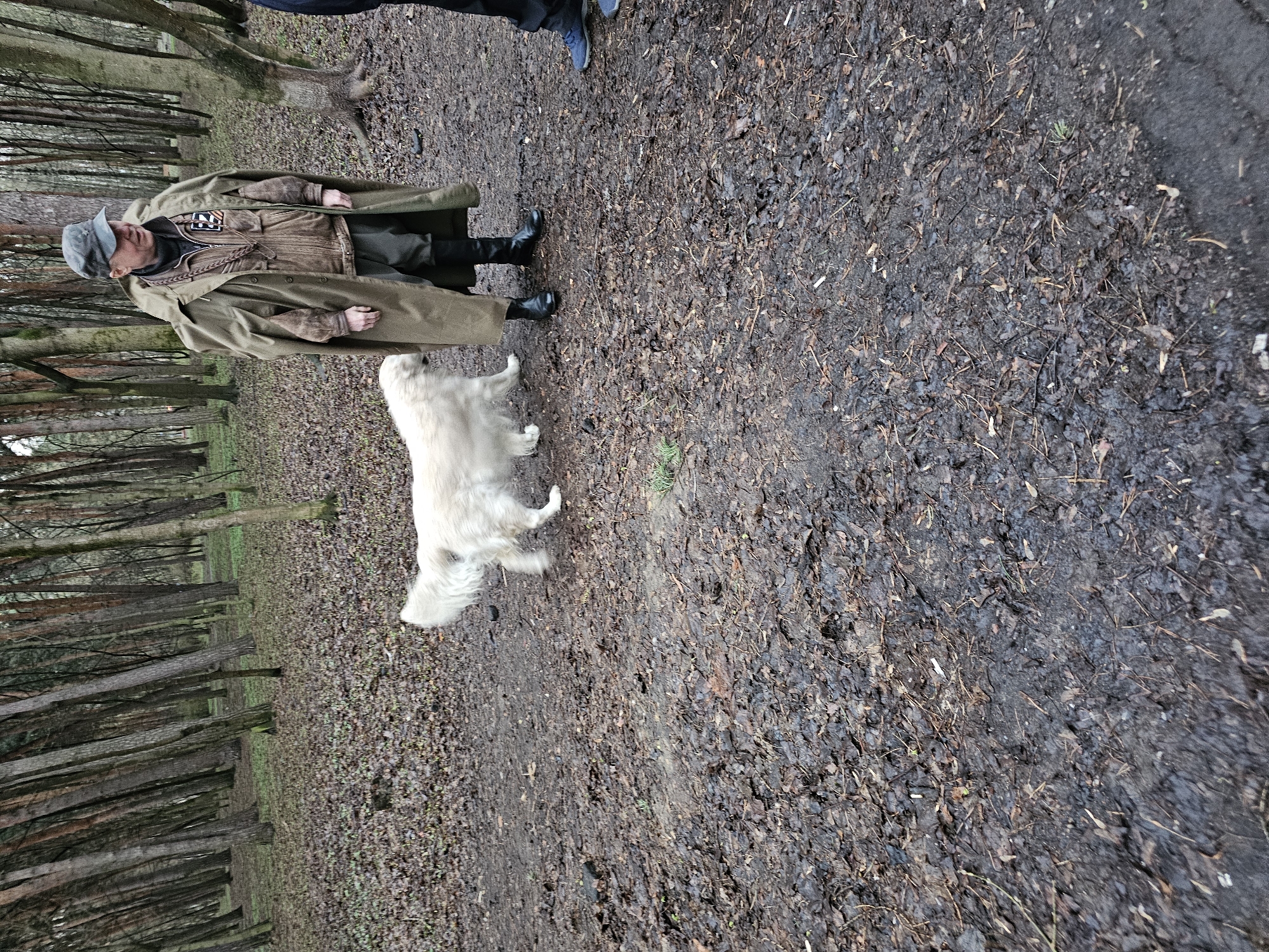 The scene is a forest in Khimki, Russia. A man in a long tan coat and cap stands on a muddy path with a white dog. The ground is covered in leaves. Trees line the left side of the image. Another person is visible at the top of the image.