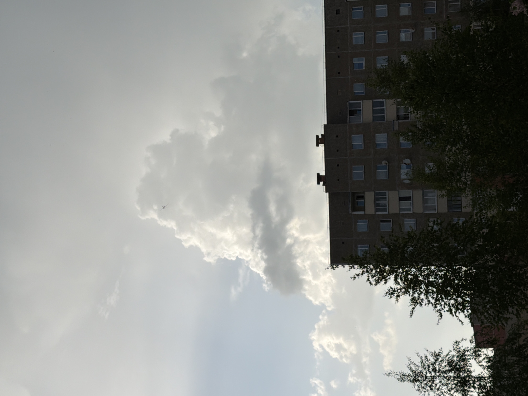 The image shows a view of a city with a tall apartment building, partially obscured by a tree, under a cloudy sky. The building is gray and has many windows, while the tree has dense green foliage. The clouds vary in density and create a dynamic sky. The perspective is from below, looking upwards. The image's orientation is rotated 90 degrees clockwise.