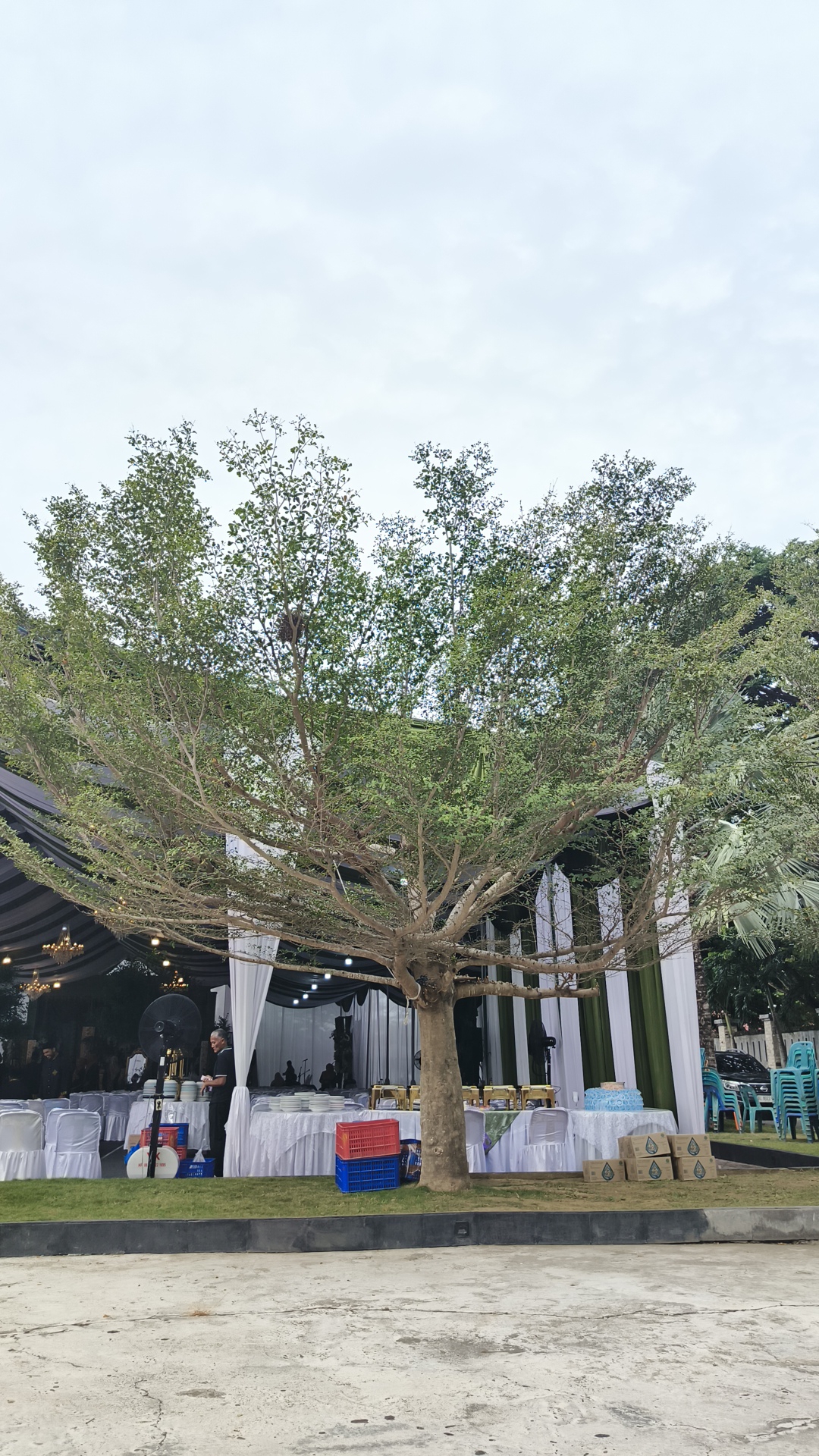In the city of Lhokseumawe, Indonesia, an outdoor event setup is visible under an overcast sky. The foreground is dominated by a large tree with a sparse canopy of green leaves and bare branches, its trunk positioned centrally. Behind the tree, a white tent structure is erected, serving as a venue for the event.
Within the tent, tables are set with white tablecloths, some laden with stacks of white plates. A man in a dark shirt and black pants is seen standing near a table, appearing to be arranging dishes or serving food. Red and blue plastic crates are placed on the grass nearby. In the background, more tables with food warmers are visible, and a blue cake sits on one of the tables. Chairs are stacked to the right of the tent. The environment appears to be an open area, possibly a lawn or park, with a concrete ground in the immediate foreground. The overall scene depicts preparations for an outdoor gathering or banquet.