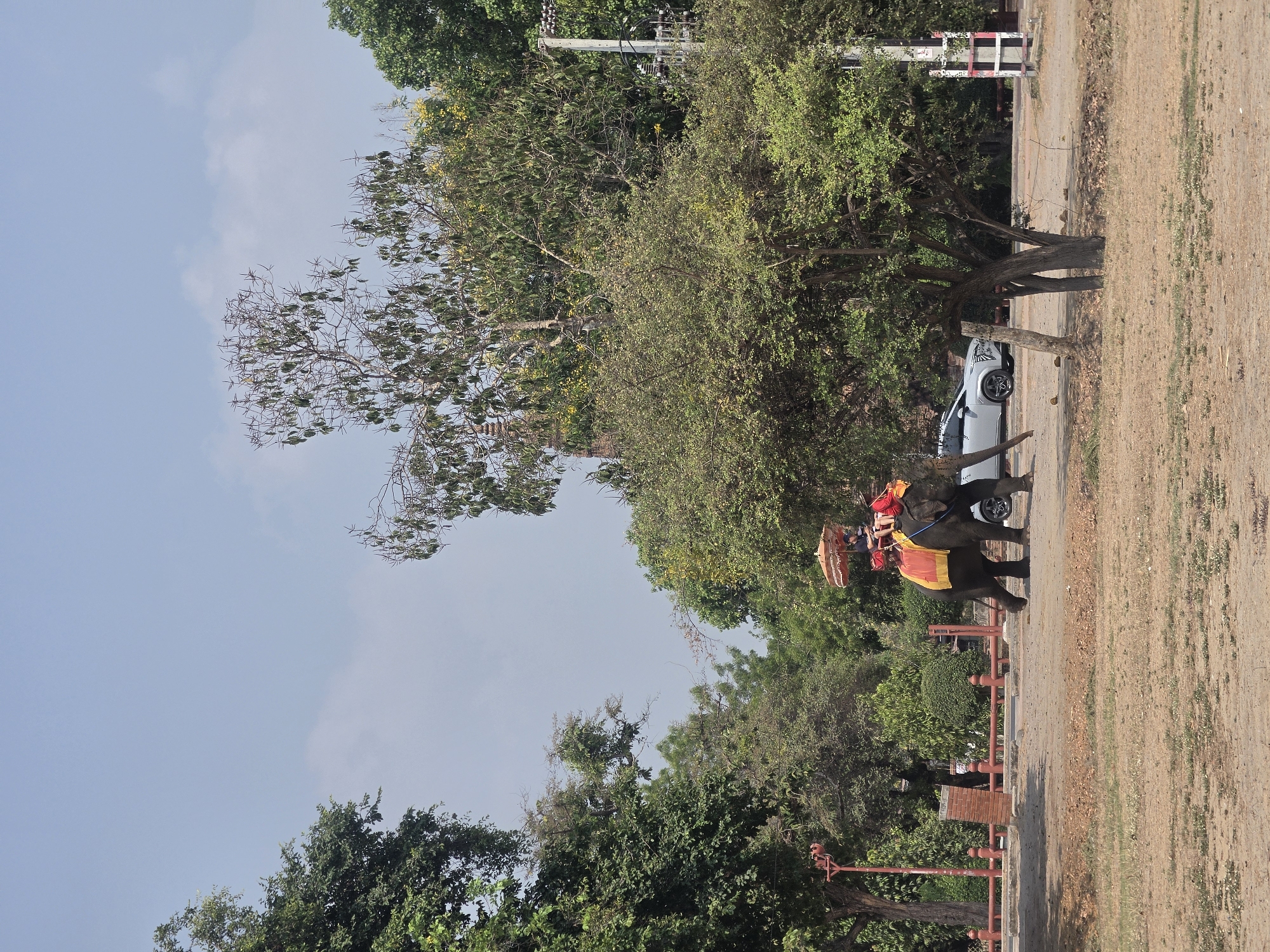 The image depicts an elephant with people riding on its back in the Historic City of Ayutthaya, Thailand. The elephant is adorned with a decorative saddle and riders. The scene includes trees, foliage, a car, and a dry, sandy area adjacent to a road or path. A red railing lines the road. The sky is light blue with some clouds.