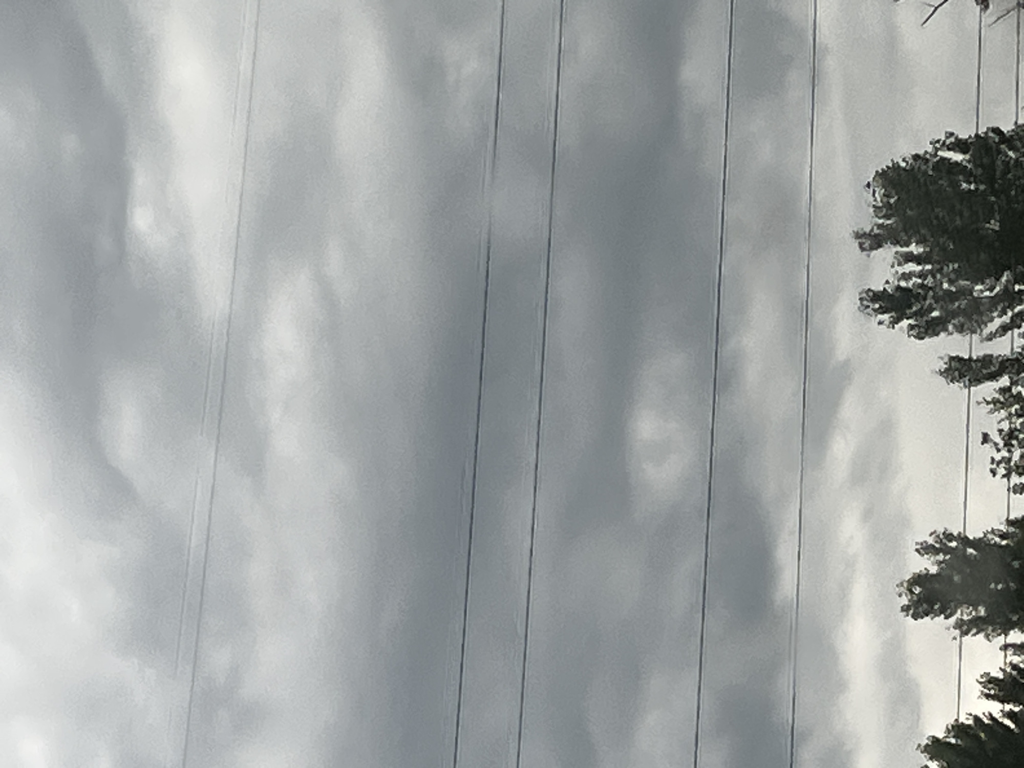 The image is a low-angle, full-shot photograph of a cloudy sky with power lines and the tops of trees visible at the bottom. The sky is filled with dark, heavy clouds, suggesting an overcast or stormy day. Four horizontal power lines are clearly visible, stretching across the frame. The trees at the bottom are dense and appear to be deciduous, with their foliage silhouetted against the sky. The image is taken from an outdoor location, likely on the ground or from a slightly elevated position. The overall impression is one of a somber or moody atmosphere due to the weather.