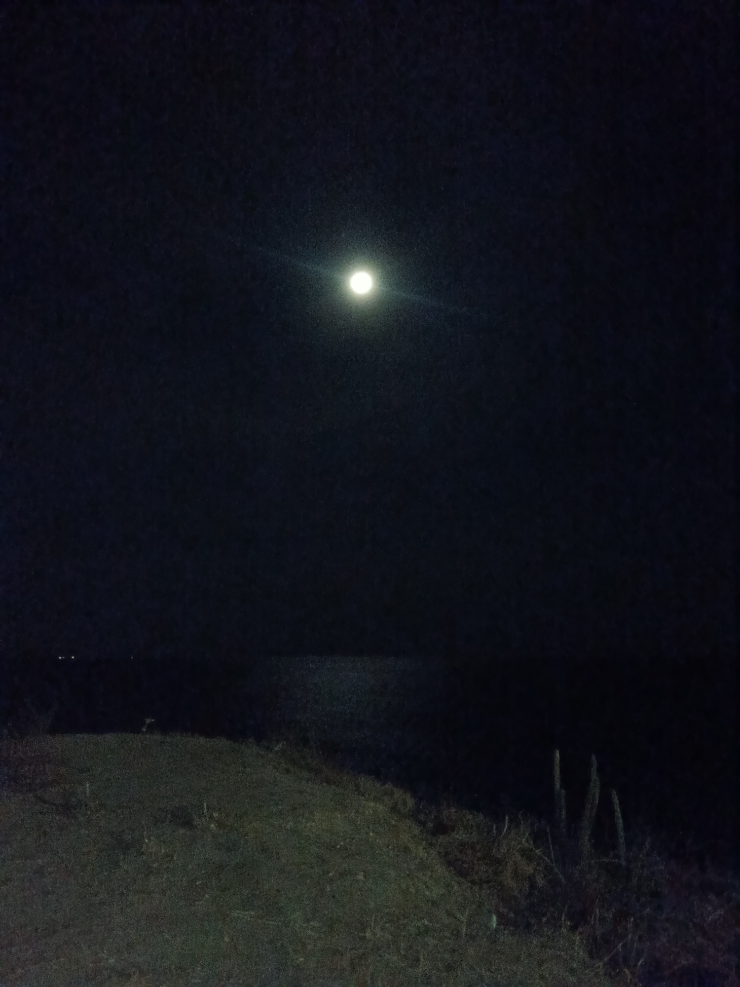 The image depicts a night scene in Juan Griego, Venezuela. A bright moon dominates the sky. Below, a dark body of water is visible, reflecting some light. A landmass with low vegetation occupies the foreground, with some cactus-like plants on the right. The scene is dark and the details are obscured.