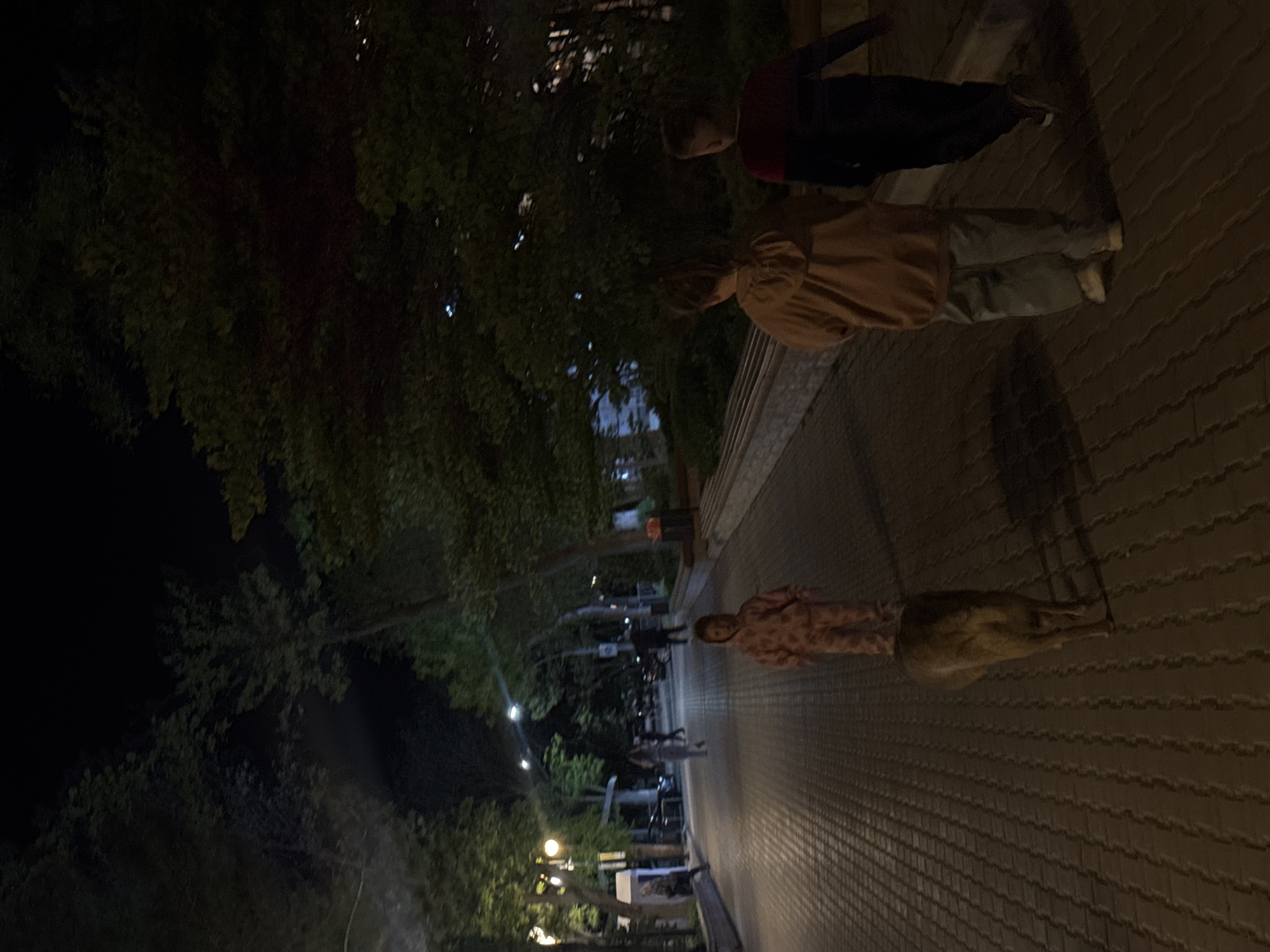 The image shows a night-time scene on a brick-paved walkway in the city of Yevpatoriya, Ukraine. Three individuals are visible: two are walking side-by-side towards the camera, and a third individual is further down the walkway, also moving towards the camera. A dog is walking in front of the third individual. Trees and streetlights line the walkway. Buildings are seen in the distance.