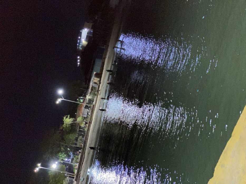 A nighttime view features a body of water, likely a river or lake, with reflections of lights creating shimmering patterns on the surface. A paved path runs along the water's edge, illuminated by streetlights. Silhouettes of people are visible along the path, suggesting activity or fishing. In the distance, buildings with lit windows can be seen, indicating an urban area. The overall scene evokes a sense of tranquility and urban night life near a water source.