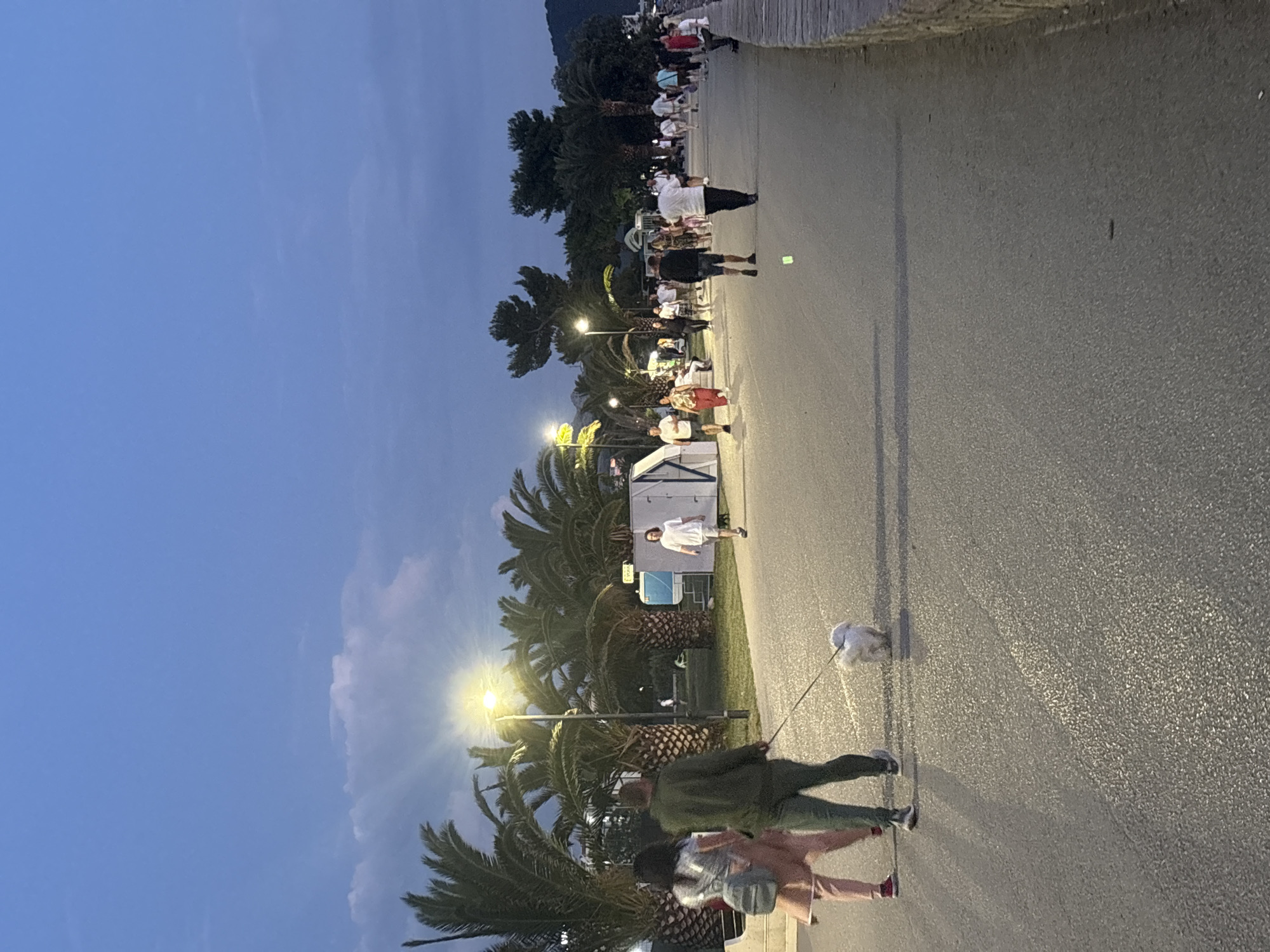 This image shows a street scene at dusk in Bar, Montenegro. The area is lit by streetlights and a line of palm trees runs alongside the road. There are several people walking on the street. In the foreground, a couple is walking. One person is walking a small white dog on a leash. Further along the street, people are walking in groups. There are shops on the other side of the trees. A sea wall is visible in the background.