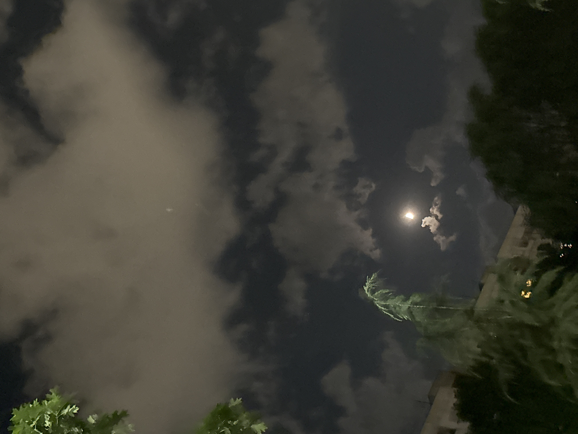 An outdoor, nighttime photograph captures a moonlit sky filled with scattered clouds over a city. In the foreground, a tall, leafy tree with a bent, upward-reaching branch is visible on the left side of the frame. To the right of this tree, and further back, is another, darker, more densely foliated tree. In the background, the tops of buildings with illuminated windows can be seen peeking above the trees. The moon, partially obscured by a wispy cloud, is positioned in the upper right quadrant of the image, casting a soft glow. The overall impression is one of a calm, urban night. The image's lighting and general atmosphere suggest it was taken in Plovdiv, Bulgaria.