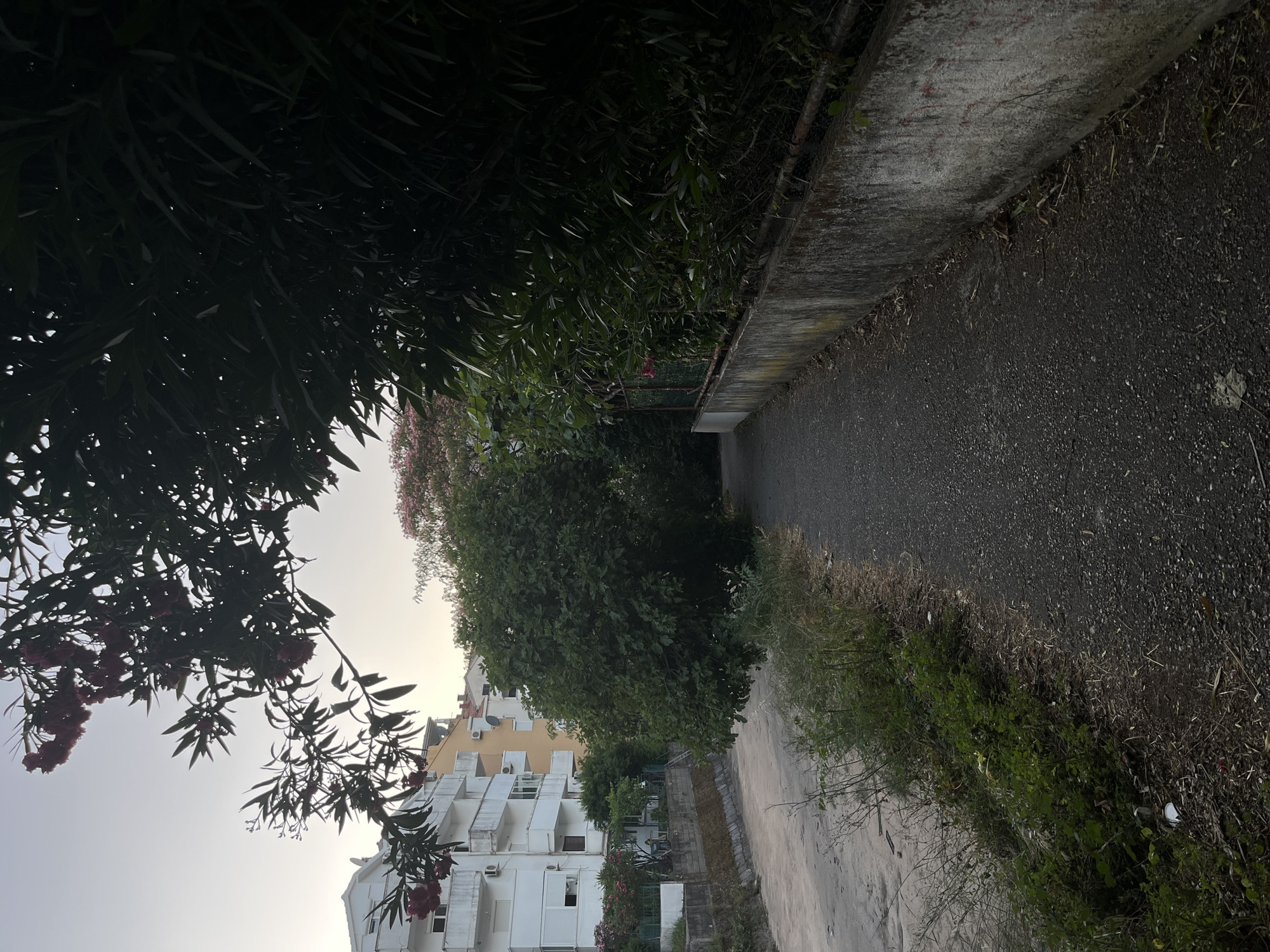 A paved walkway runs along the right side of the image, bordering a dry, concrete-lined channel on the left. Green foliage and trees line the right side of the walkway, with a weathered concrete wall behind them. Across the channel, white and yellow apartment buildings rise, partially obscured by trees and branches. The sky above is overcast. The scene appears to be in a residential area of Budva, Montenegro, possibly near a drainage ditch or undeveloped area.