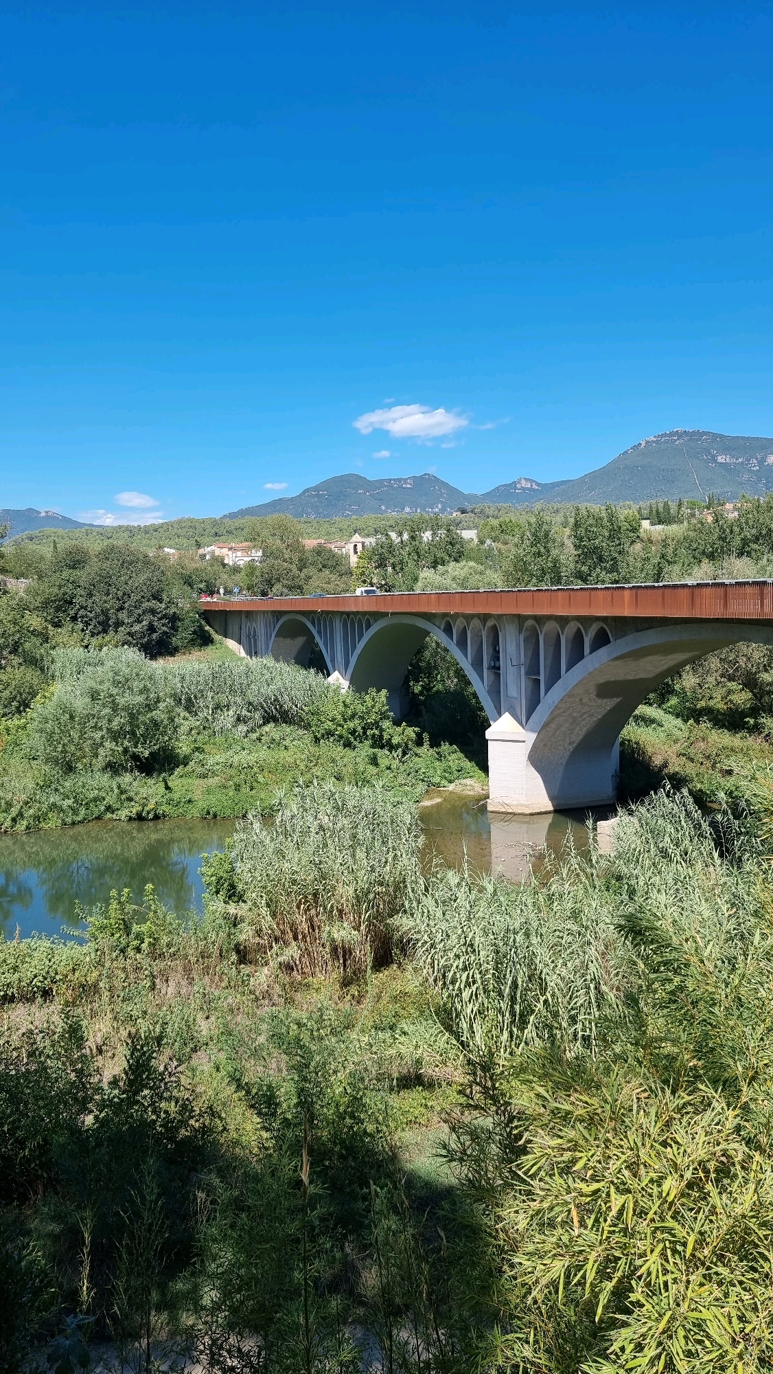 The image depicts a wide, modern bridge with multiple arched concrete supports spanning across a tranquil river. The bridge's deck is lined with a reddish-brown railing, and vehicles are visible on its surface. The riverbanks are densely covered in lush green vegetation, including tall reeds and various trees, creating a natural, overgrown landscape. In the background, rolling hills and mountains are visible under a clear blue sky with a few scattered white clouds. The overall scene suggests a serene, natural setting with human infrastructure integrated into the environment, likely in a rural or semi-rural area. This specific bridge is the Pont del Llierca, located in Besalú, Spain, a town known for its medieval architecture and charming historical sites.