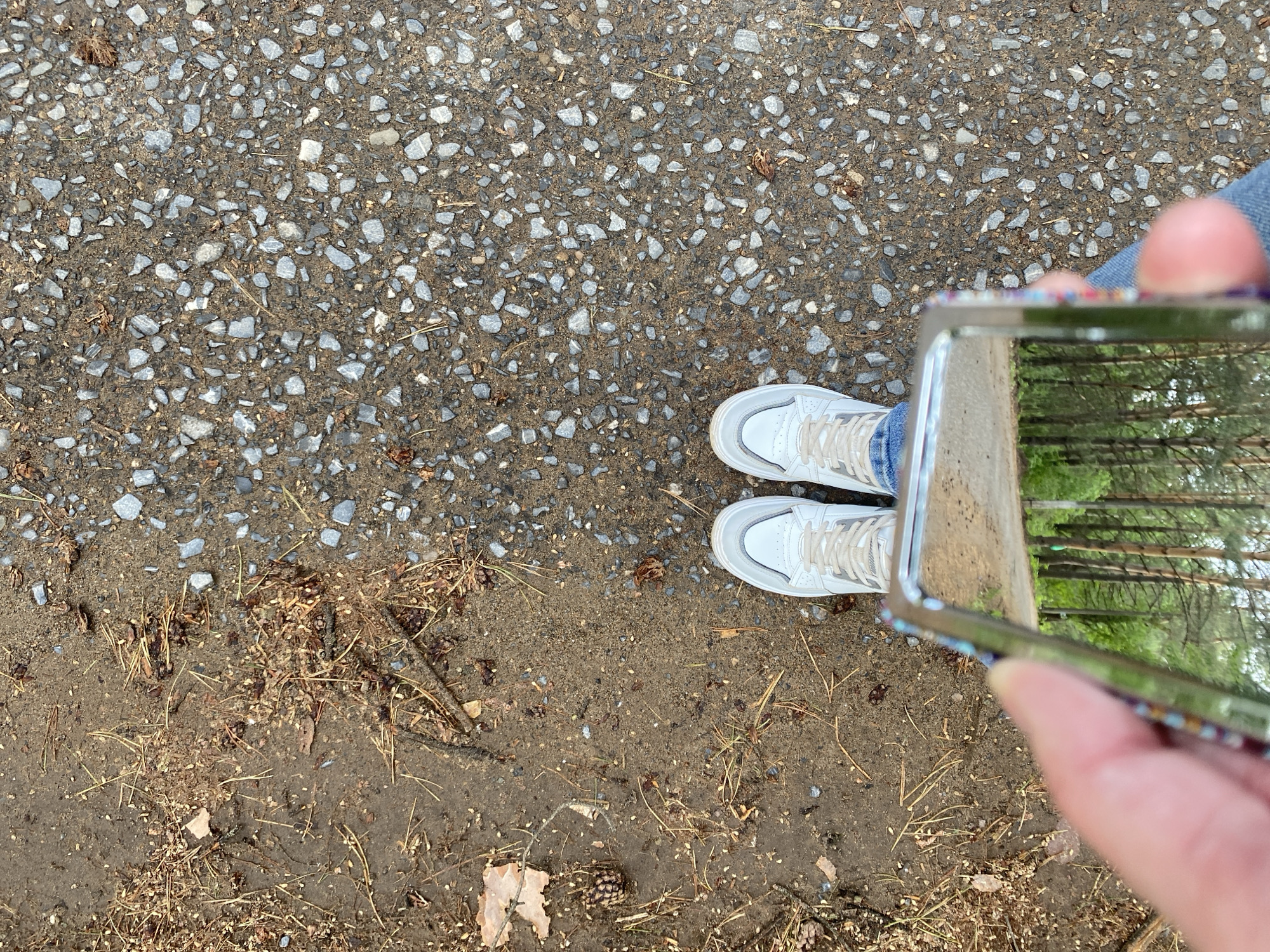 An overhead shot depicts a person standing on a path, holding up a smartphone, with their legs and white sneakers visible from the knees down. The path surface is composed of small rocks and dirt, with fallen leaves and pine needles scattered around the edges. The smartphone screen displays a reflection of a forest scene, with tall trees and green foliage. The setting appears to be a natural area near or within a city, possibly Chaikovsky, Russia, as stated in the prompt.