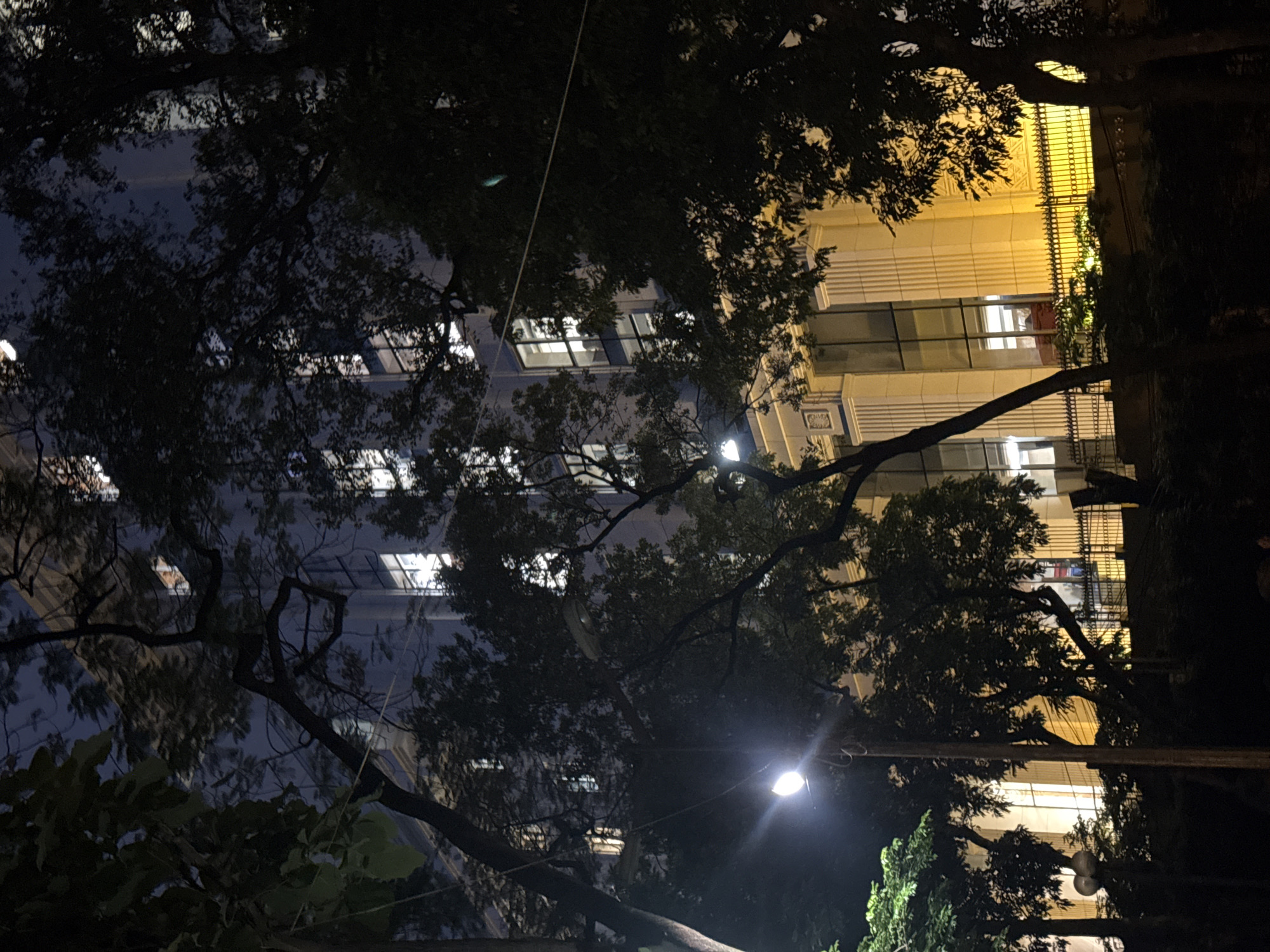 The image depicts a street scene at night in Hanoi, Vietnam. A multi-story building with illuminated windows stands prominently, its facade featuring classical architectural elements like columns and decorative carvings. Trees with dense foliage partially obscure the building and frame the scene. A streetlamp in the foreground casts a bright light, illuminating a wooden pole and some dangling wires. A black metal fence runs along the edge of the building's property, with some vegetation behind it. The overall ambiance is dark and somewhat mysterious, with the artificial lights creating stark contrasts against the night sky and shadows.