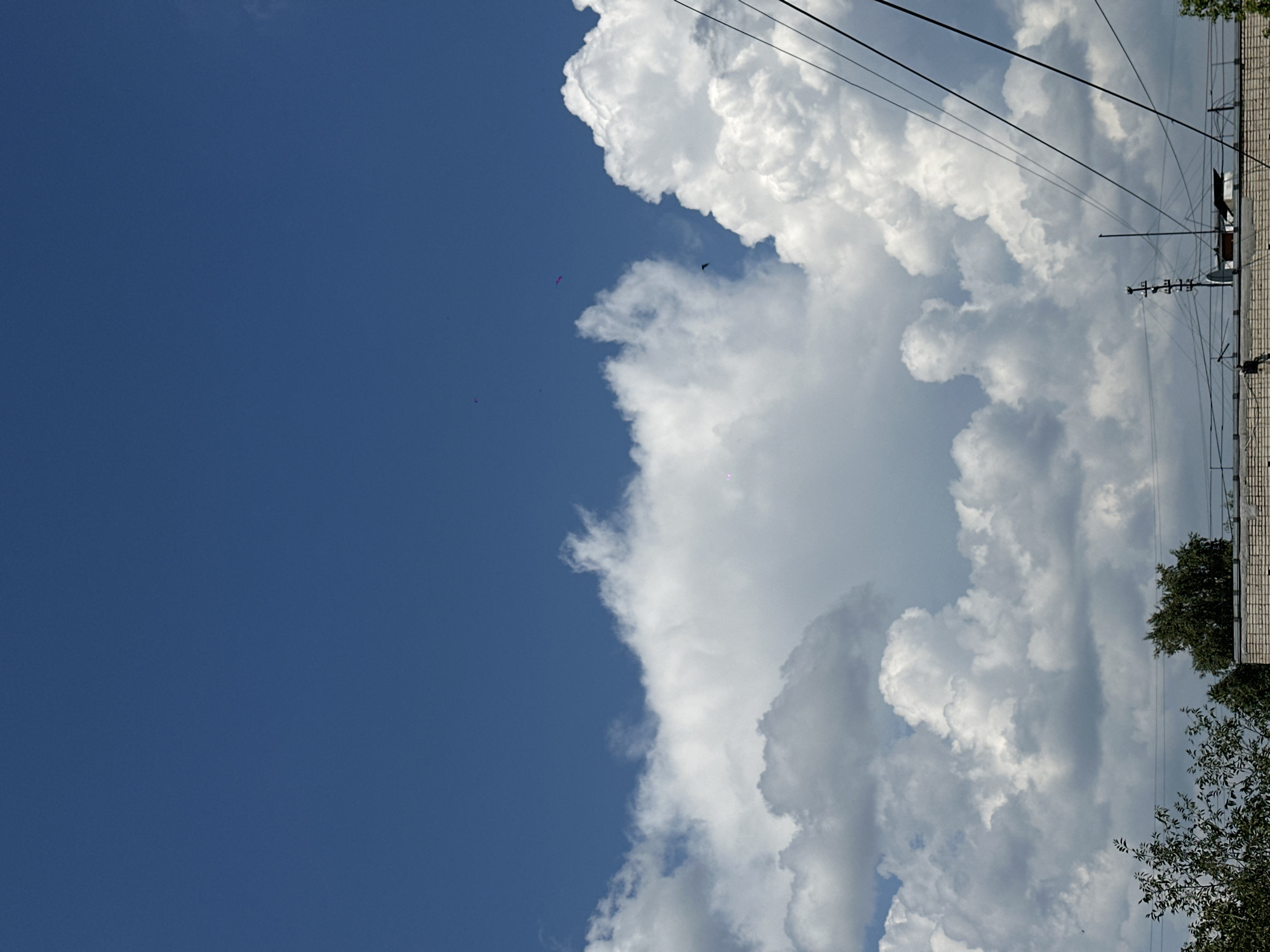 The image depicts a bright, clear blue sky with large, puffy white cumulus clouds dominating the middle and lower portions. In the far distance, several small, bright pink objects are visible, possibly kites or balloons. A dark bird is also flying amidst the clouds. The lower edge of the frame shows the rooftops of buildings, interspersed with green trees and a complex network of power lines. The scene suggests an outdoor, daytime view, likely from an elevated position, looking upwards. The specific location in Biysk, Russia is not discernible from the image itself.