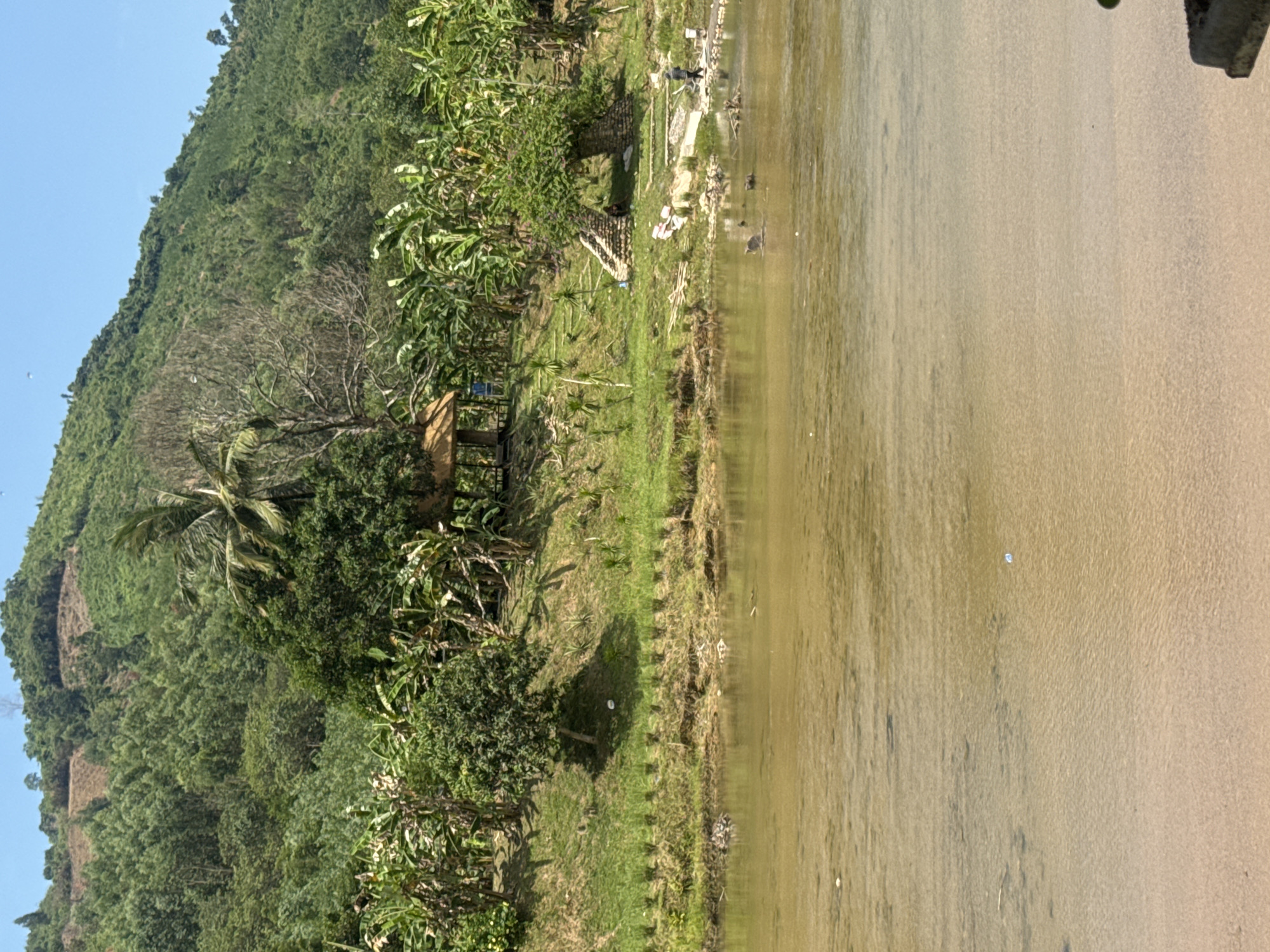 The image shows a wide, shallow river with a sandy bottom in the foreground. The water is murky brown and reflects the sky. Several dark shapes, possibly rocks or submerged objects, are visible in the water. In the mid-ground, the riverbank is lined with lush green grass, and a row of small, potted plants creates a neat border. Further back, a steep, grassy slope rises, dotted with trees and banana plants. At the top of the slope, a dense forest covers the hillside, with a clear blue sky above.
On the grassy slope, there is a small, thatched-roof hut with wooden posts. A narrow, stone pathway leads up to it. Near the river's edge, a person in dark clothing walks on a wooden platform or bridge, accompanied by what appears to be a dog. Another person is seated under a large tree with a stone-built base. The overall impression is one of a natural, rural landscape, possibly in the vicinity of Nam Khanh Vinh, Vietnam, given the presence of banana plants and the tropical vegetation.