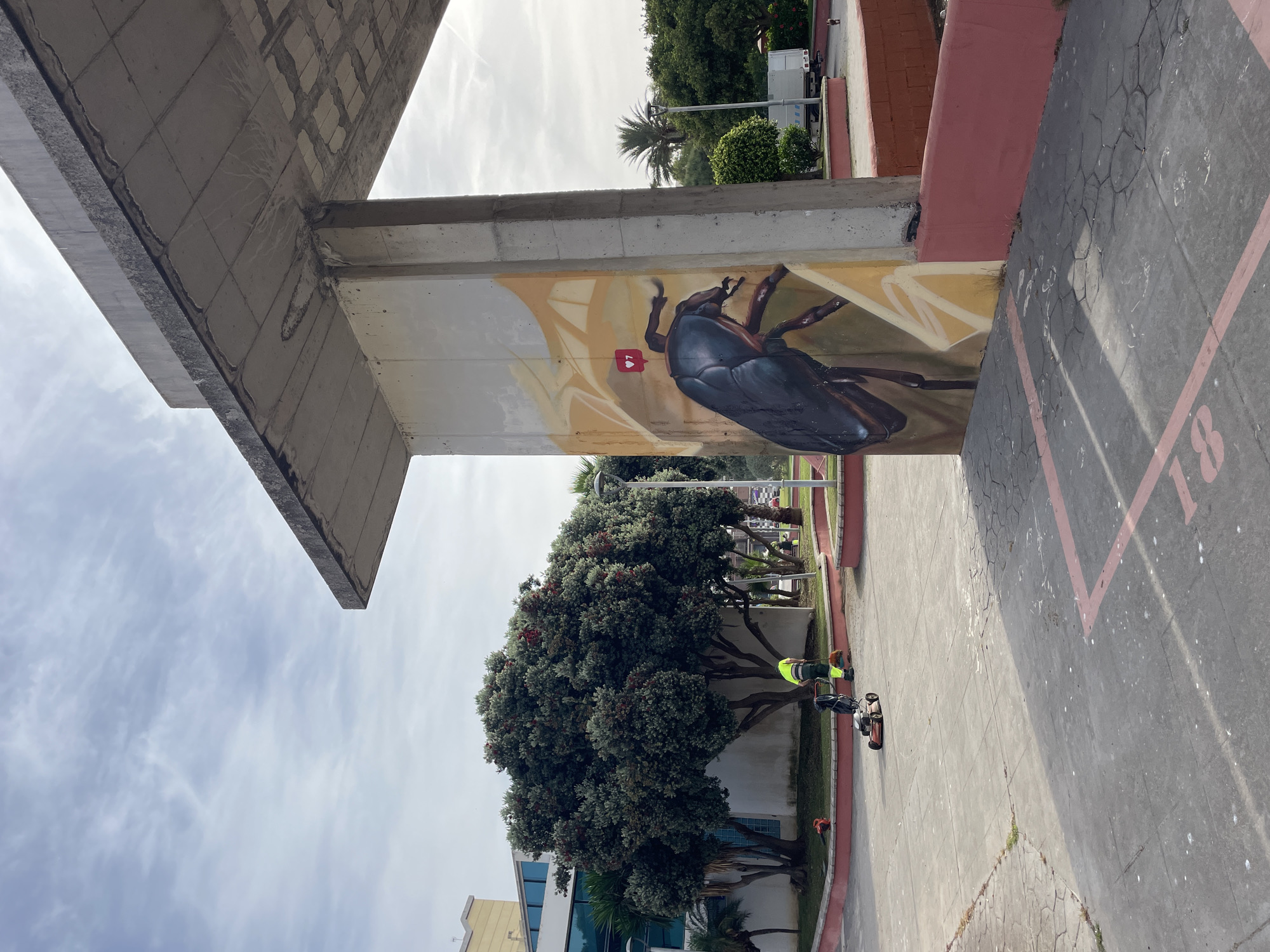 An outdoor scene depicts a large mural of a beetle on the side of a concrete pillar supporting an overhead structure. A small red heart icon with a white outline is positioned above the beetle's head. The pillar is part of a modern building, possibly a parking garage or public transport hub, with a concrete roof overhead.
In the middle ground, a person wearing a high-visibility yellow vest and dark pants is operating a lawnmower on a patch of grass. Nearby, a leaf blower and a broom are placed on the ground. To the left of the man, a large, dense green tree with red berries is prominent, and behind it, a modern building with blue-tinted windows is visible.
The foreground shows a paved area with square tiles and painted red lines, possibly indicating parking spaces. A few small, white specks are scattered on the pavement. The sky is partly cloudy with a light haze. In the background, a white truck is parked. The location appears to be a public space within La Línea de la Concepción, Spain, characterized by its urban infrastructure and landscaping.