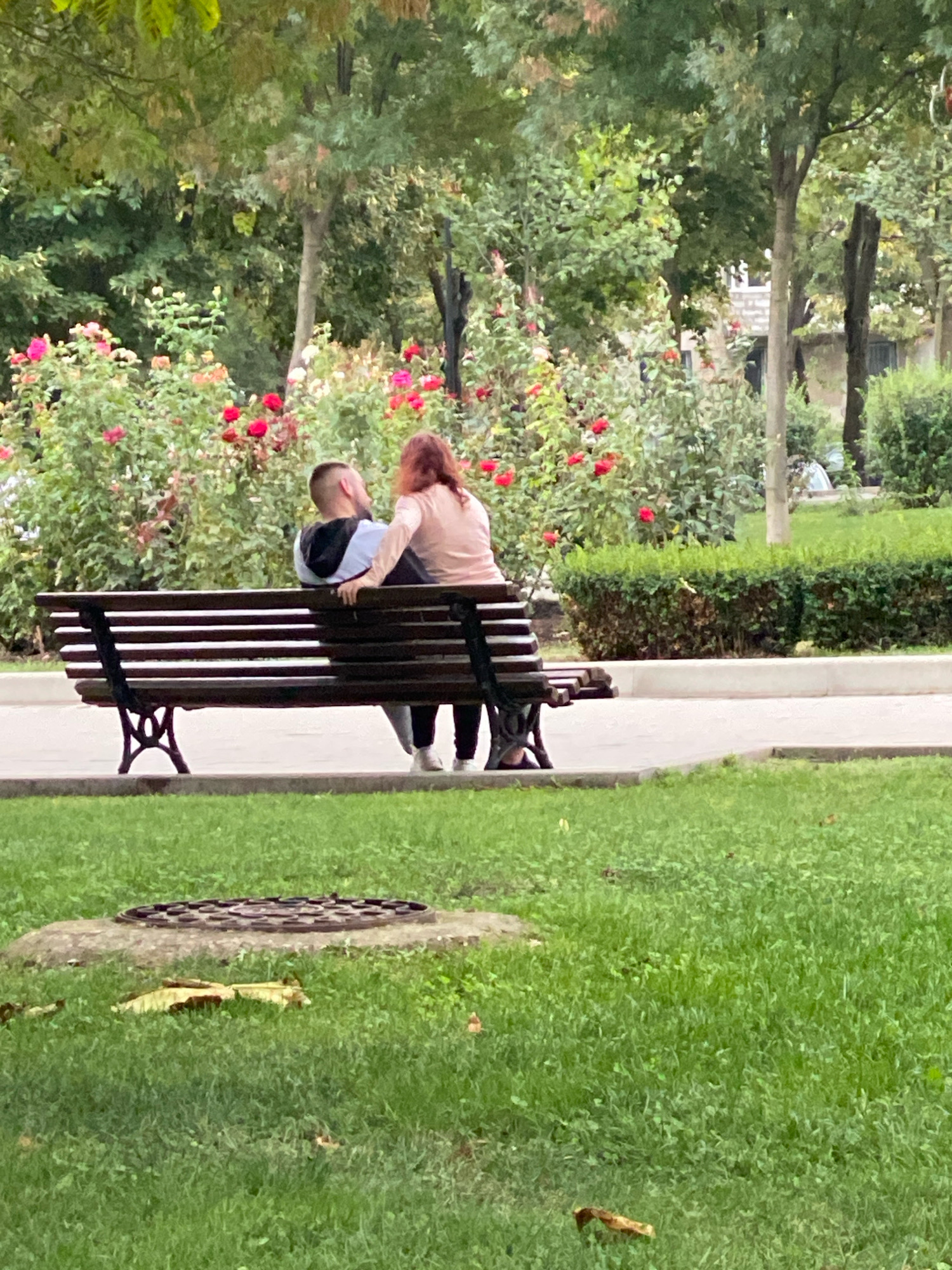 In Chișinău, Moldova, two individuals, a male and a female, are seated on a park bench in a verdant outdoor setting. The male, with short hair, is wearing a black and white hooded jacket. The female, with reddish-brown hair, is clad in a light pink long-sleeved top and dark pants. They are positioned close together on the bench, with the female’s arm resting on the male’s shoulder. Behind them, a vibrant backdrop of rose bushes in bloom with red and pink flowers creates a lively contrast against the surrounding greenery. The bench itself is made of dark wood with horizontal slats and ornate black metal legs. The ground in front of the bench is paved, and further in the foreground, a patch of green grass is visible, featuring a circular manhole cover embedded in a concrete slab. Trees and hedges further define the park landscape.