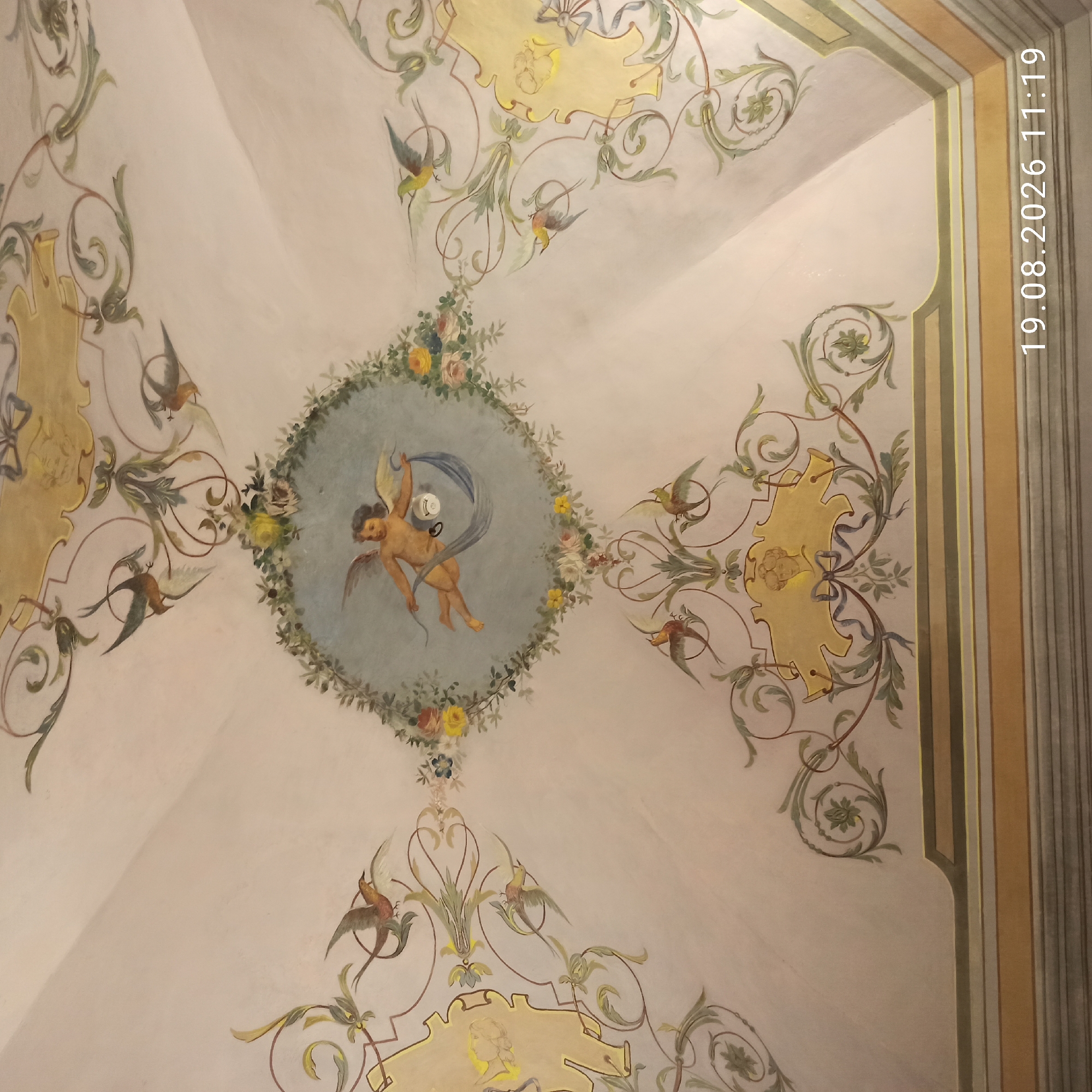The image shows a frescoed ceiling in Ruvo di Puglia, Italy, depicting an angelic figure at the center, surrounded by floral garlands and flying birds. Elaborate decorative motifs and cartouches with facial profiles are also visible. The fresco covers the curved surface of what appears to be a dome or vaulted ceiling. The overall style is ornate and classical, likely from a historic building. The date "19.08.2026 11:19" is overlaid in the bottom right corner.