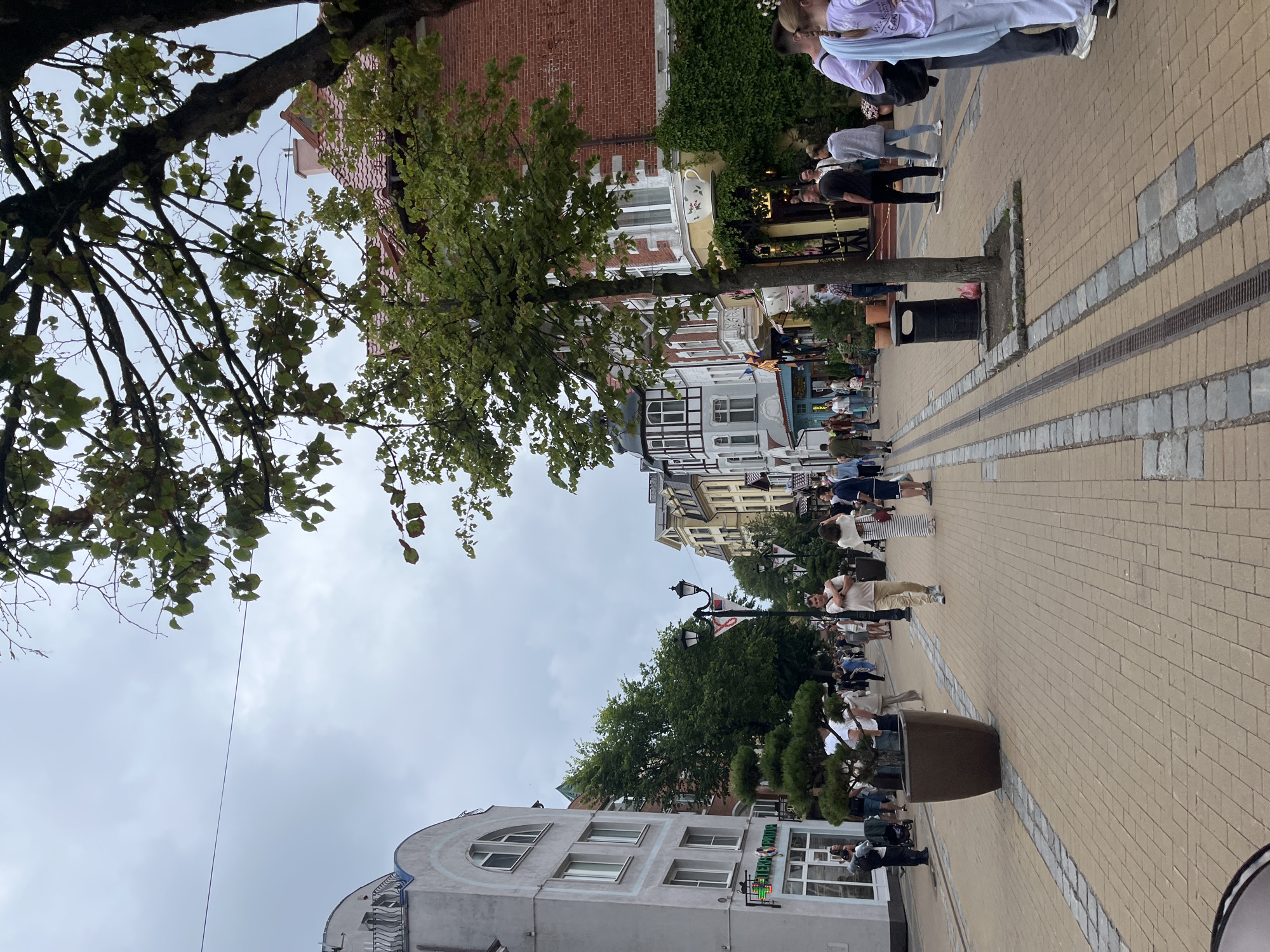 This is a full-frame, eye-level, outdoor, daytime photograph of a pedestrian street in Zelenogradsk, Russia. The street is paved with light brown rectangular cobblestones, with two parallel grey stone strips running down the center. On either side of the street are buildings with shops and cafes on the ground floor. The buildings vary in architectural style, with some featuring ornate facades and balconies. Mature trees with green foliage line the street, providing shade.
Several people are walking along the street. They are dressed in casual summer clothing. Some individuals are looking at their phones, while others appear to be in conversation. A large, dark brown planter with a sculpted tree stands on the left side of the street. On the right side, a red brick building with ivy growing on it is visible. The sky is overcast and appears grey. A single lamp post with a red and white flag is positioned in the mid-ground. A black trash can is visible near a tree on the right side of the street.