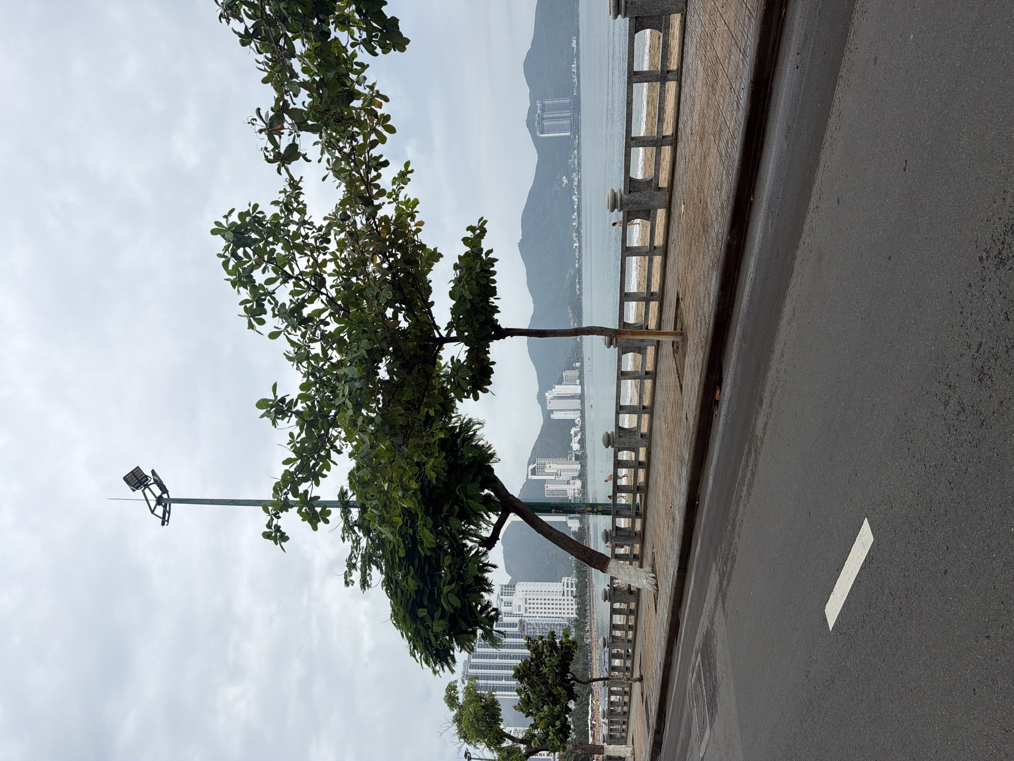 The image displays a coastal scene, likely a promenade and road, under an overcast sky. In the foreground on the right, a dark asphalt road is visible, featuring a single white dashed line. Parallel to the road is a paved sidewalk or promenade with a decorative stone railing. The railing has a uniform design of alternating square and rounded openings.
Several trees with lush green foliage are planted along the promenade. One tree particularly stands out, leaning distinctively over the road, its trunk painted white at the base. A tall, slender metal pole, equipped with two floodlights, is positioned near these trees.
Beyond the promenade and railing, a calm body of water stretches into the distance, indicative of the sea or a large bay. Across the water, numerous modern, multi-story buildings and skyscrapers line the coast, nestled against a backdrop of prominent, dark green mountains. The sky above is uniformly overcast, suggesting a cloudy day. There is no clear activity or people visible. The scene depicts a serene urban-coastal landscape characteristic of a resort city, consistent with Bac Nha Trang Ward, Vietnam. No discernible text is visible in the image.