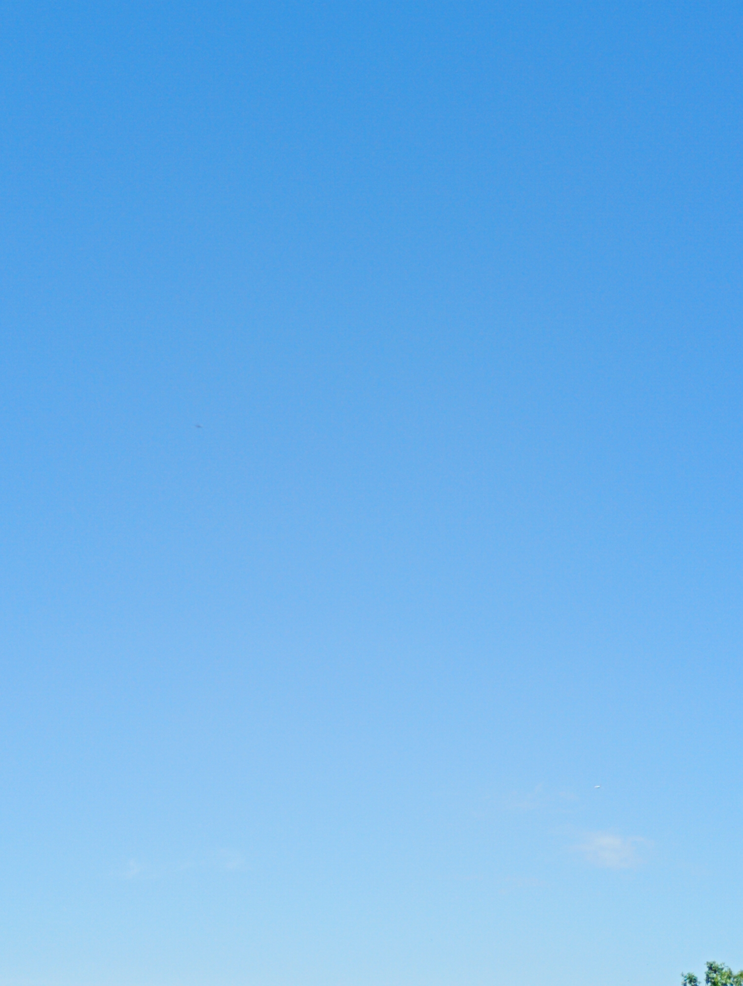 The image shows a clear blue sky above a blurry foreground of green trees. There are two small objects that appear to be aircraft or birds in the sky. The scene suggests an outdoor environment, likely a park or rural area, in Nowa Wieś Szlachecka, Poland.