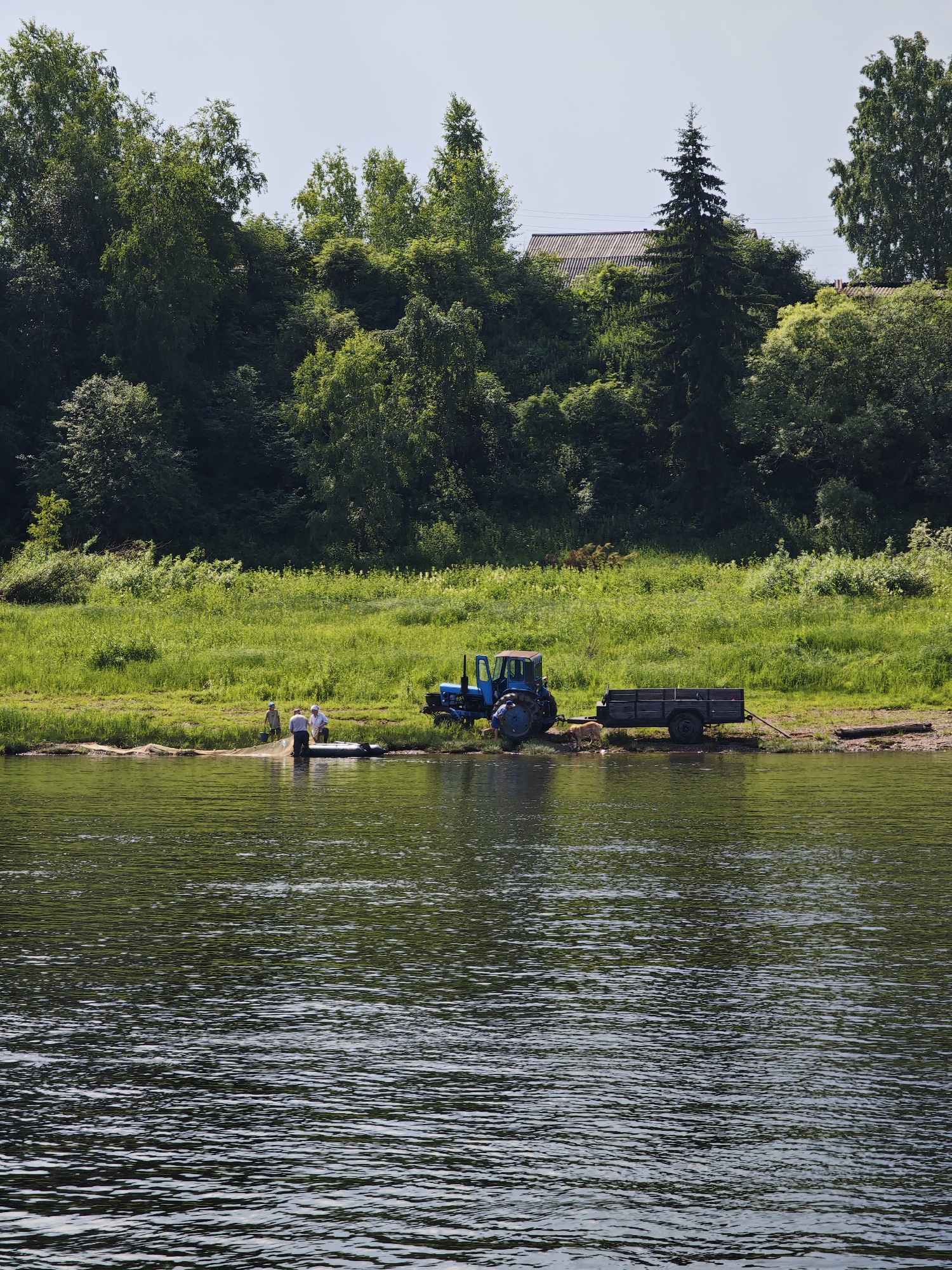 In Усть-Кемь, Russia, on a sunny day, a blue tractor is parked on a grassy bank next to a river. Attached to the tractor is a dark trailer. Several people are near the river's edge, some in a small inflatable boat, and others standing on the bank. One person is using a fishing net. The river is calm with ripples reflecting the green trees and blue sky. Behind the bank, a dense forest covers the landscape, with a few houses visible through the trees on a higher elevation.