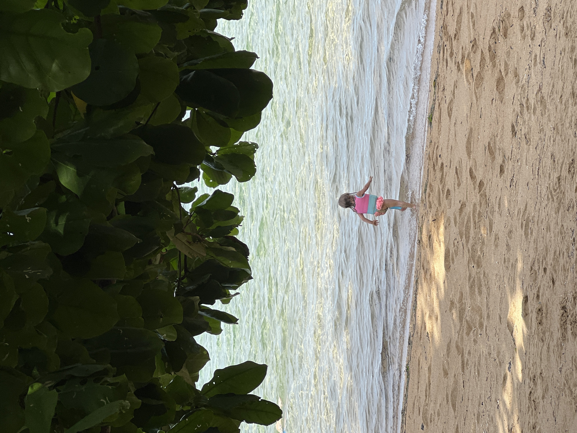 A young girl wearing a pink and white swimsuit plays at the water's edge on a sandy beach. The beach is situated beside a body of water with small waves. Leaves from a large tree or bush hang on the left side of the frame. The location is Denpasar, Indonesia.
