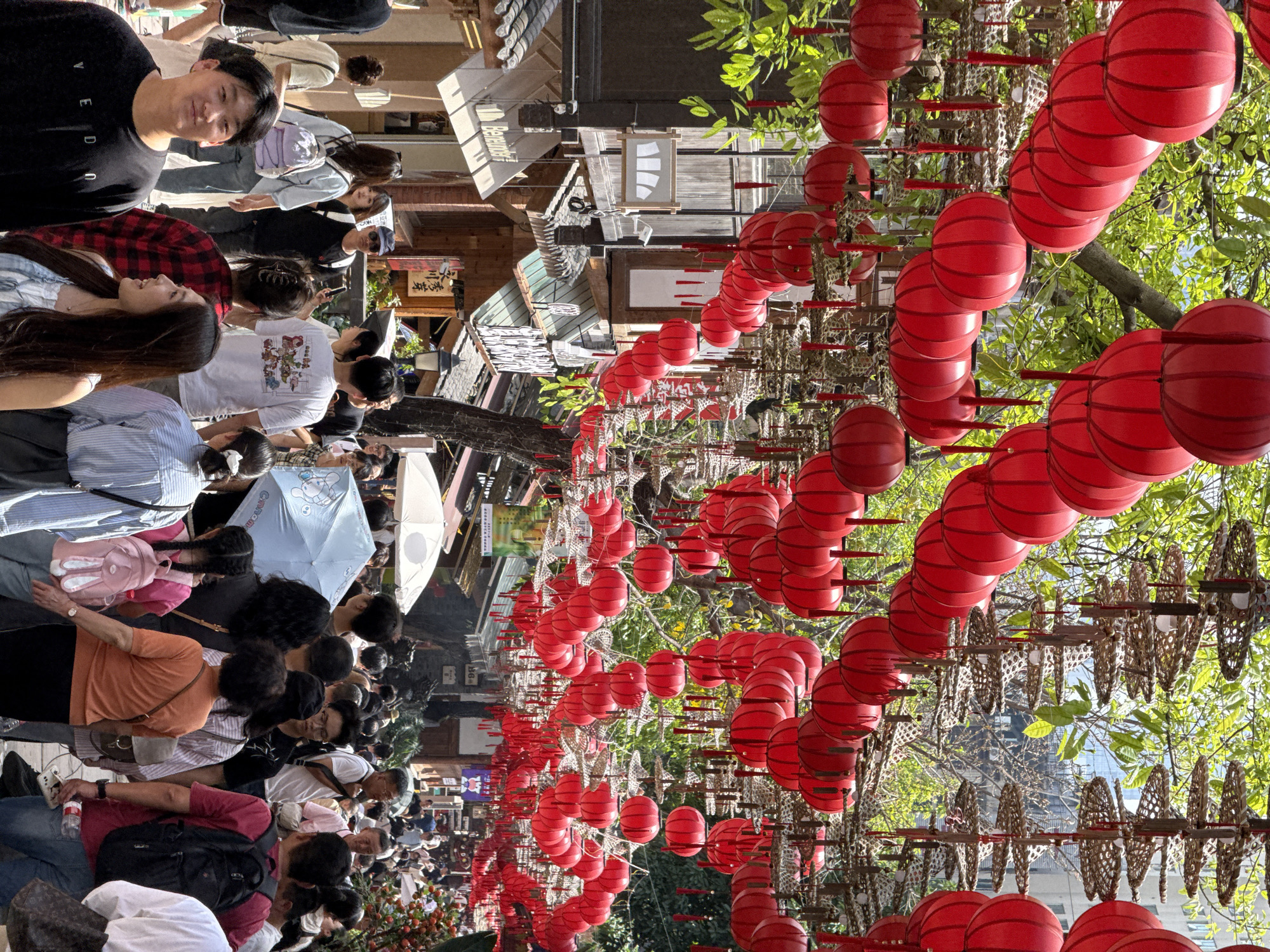 This vertical image captures a vibrant and bustling pedestrian street or market in Yuzhong District, China, under bright daylight. The scene is densely populated with people, most of whom are walking, observing, and engaged in typical street activities.
In the foreground and left, a crowd of individuals is visible. A young man wearing a black t-shirt with the text "VEDU" is smiling towards the camera. Nearby, a young woman in a red and black plaid shirt is seen looking to her left. Other individuals carry bags, and a light blue umbrella featuring a cartoon animal silhouette and partial text "Coconu" provides shade for some.
The defining feature of the street is the elaborate overhead decoration. Numerous bright red, spherical lanterns, made of a ribbed material, are strung in long, continuous lines, creating an archway effect over the pathway. These lanterns are interspersed with intricate, woven, basket-like decorations, adding to the festive atmosphere. Green foliage from trees is visible between and above these decorations, suggesting a tree-lined street and providing a natural canopy.
In the background, traditional-style buildings with multi-tiered roofs and shopfronts line the street. The bright sunlight indicates a clear, sunny day. The overall impression is one of a lively cultural or commercial area, with people enjoying the festive decorations and vibrant surroundings.