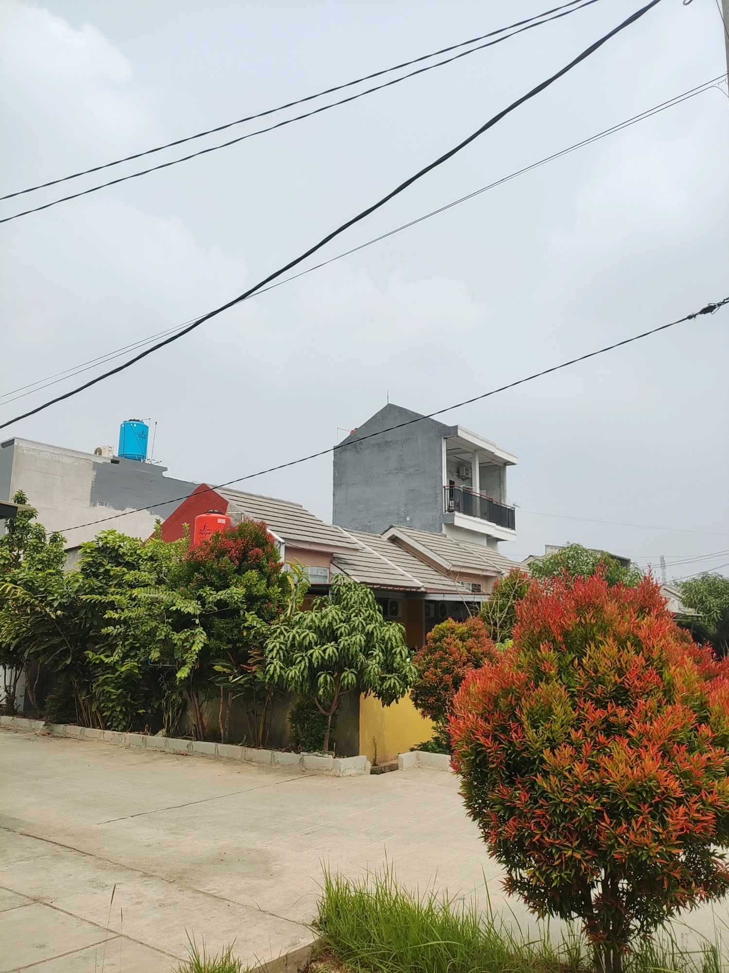In an outdoor scene, a street runs diagonally from the lower left to the upper right of the frame. The street is paved with concrete tiles and bordered by a low concrete curb. Beyond the curb, grass and a cluster of green bushes are visible on the left. In the background, a row of houses is partially obscured by a variety of trees. The houses are a mix of architectural styles and colors, with some featuring red and gray facades. Notably, a bright blue water tank sits atop one of the buildings, and a red water tank is visible on another. A modern, gray, multi-story building with a balcony stands on the right side of the frame. Overhead, dark electrical wires stretch across the sky. The sky itself is overcast with gray clouds. A vibrant, bushy plant with bright red and green foliage is prominent in the foreground on the right side of the image.