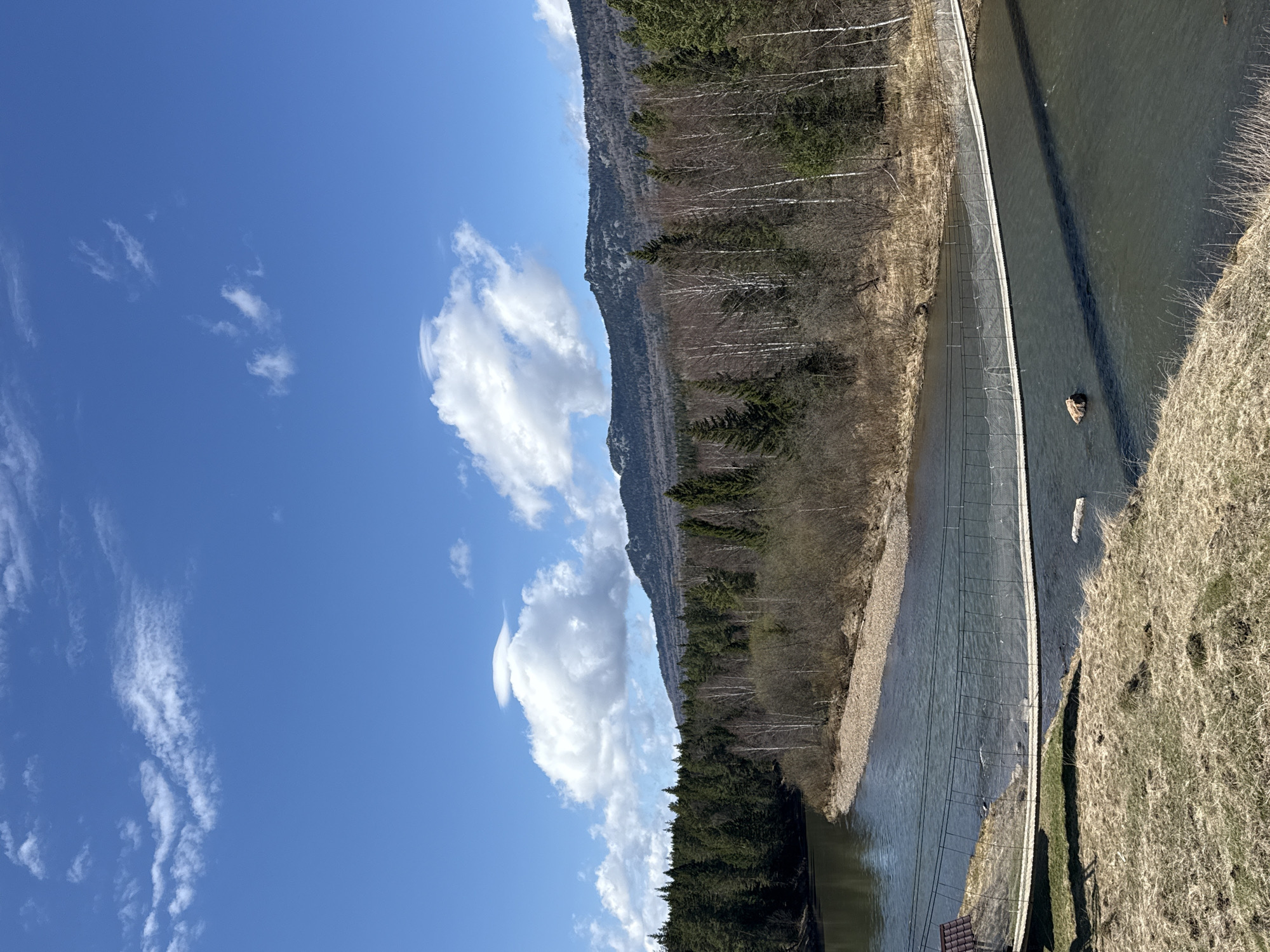 This media file presents a panoramic landscape view of a river valley under a bright, clear blue sky adorned with scattered white cumulus clouds. The scene depicts a sunny day, likely in late winter or early spring, given the mix of evergreen trees and bare deciduous trees, alongside stretches of dry, brown grass.
A river, appearing somewhat murky, flows through the center of the frame. Spanning the river is a narrow footbridge, constructed with a pathway and visible wire-mesh railings. On the left side of the river, dense forestland extends, featuring numerous evergreen trees interspersed with deciduous trees, some of which have lighter-colored bark. Beyond this immediate forest, a long, tree-covered mountain range or steep hill stretches across the horizon. The right bank of the river is characterized by dry, brown grass and sparse vegetation. A small, light-colored log or piece of debris floats in the river downstream from the footbridge.
No people or human activity are visible in the image, emphasizing the natural and tranquil environment. There is no visible text.