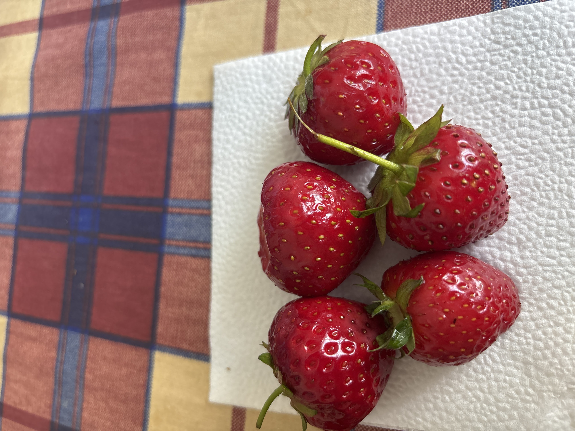 The image shows a close-up, overhead view of five ripe strawberries arranged on a white, textured paper napkin. The strawberries are a vibrant red, with visible seeds and green stems. They are clustered together, with some overlapping. The napkin is placed on a surface covered with a plaid fabric, featuring a pattern of red, blue, and yellow stripes. The fabric pattern suggests a checkered tablecloth or similar textile. The lighting is natural and appears to be daylight, casting subtle shadows. There is no text visible in the image. The overall scene evokes a simple, domestic setting, possibly a kitchen or dining area in Bila Tserkva, Ukraine. The focus is on the fresh fruit, suggesting an everyday moment of preparing or enjoying a snack.