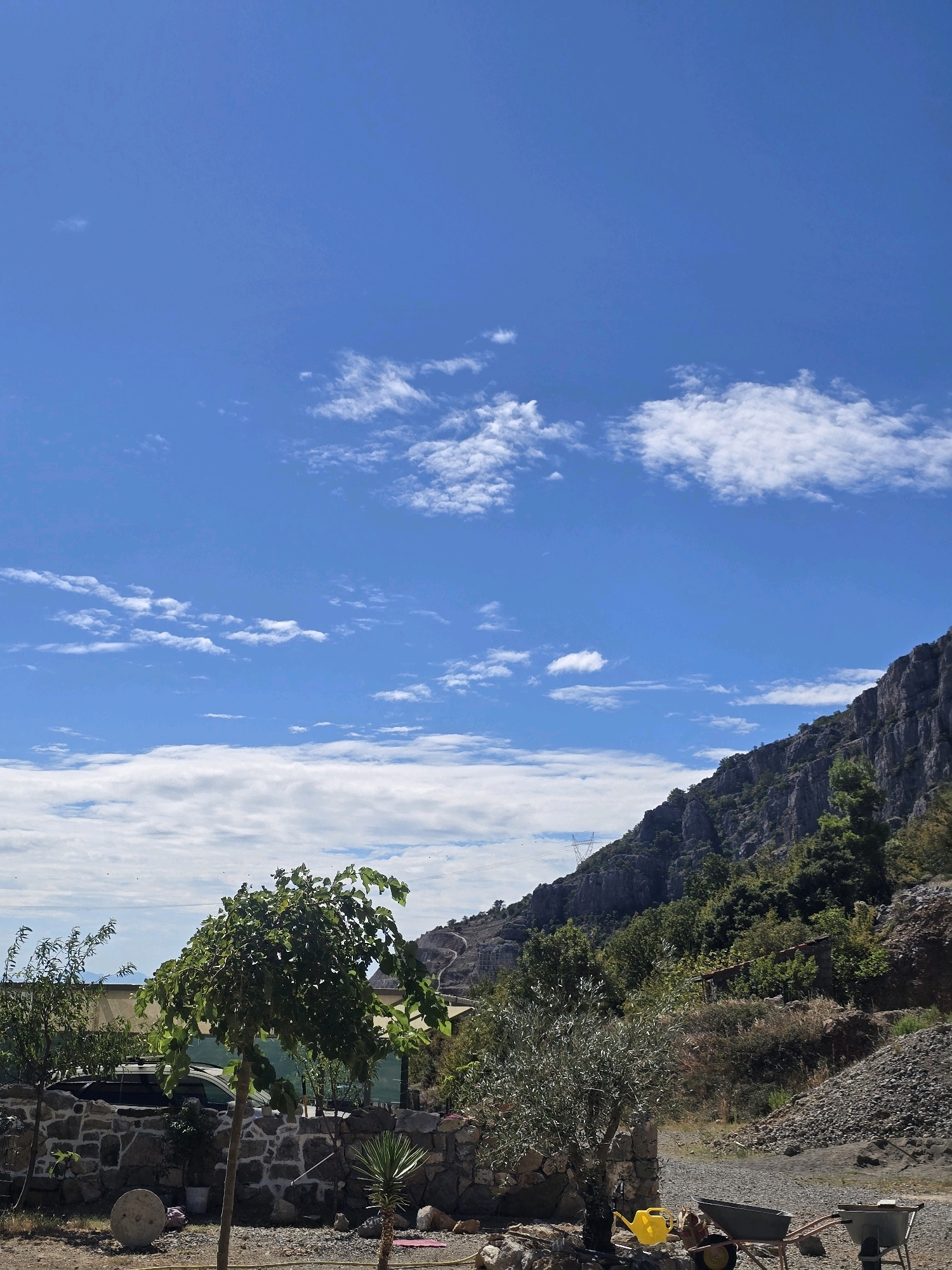 The image depicts a sunny day with a bright blue sky dotted with scattered white clouds. In the foreground, a small tree with green leaves stands prominently, its trunk slender and reaching upwards. To its right, an olive tree is visible, its branches laden with small leaves. Behind these trees, a low stone wall runs horizontally, forming a boundary. A small yucca plant with spiky leaves grows near the wall, and further back, a yellow watering can and a wheelbarrow are present, suggesting some form of outdoor activity or gardening.
The middle ground features a car partially obscured by foliage and structures, hinting at a residential or perhaps a work area. Beyond this, a steep, rocky mountainside rises, covered in dense green trees and scrub. The texture of the mountain is rugged and uneven, with visible rock formations. In the distance, the terrain appears to ascend further, with faint hints of man-made structures or pathways on the slopes. The overall environment suggests a rural or semi-rural setting, possibly on the outskirts of a city, with the mountainous landscape being a dominant feature.
Given the visual cues of rugged mountainous terrain, Mediterranean vegetation (olive trees, yucca), and a bright, sunny sky, the scene could plausibly be located in or around Podgorica, Montenegro, a region known for its proximity to mountains and its climate conducive to such flora.