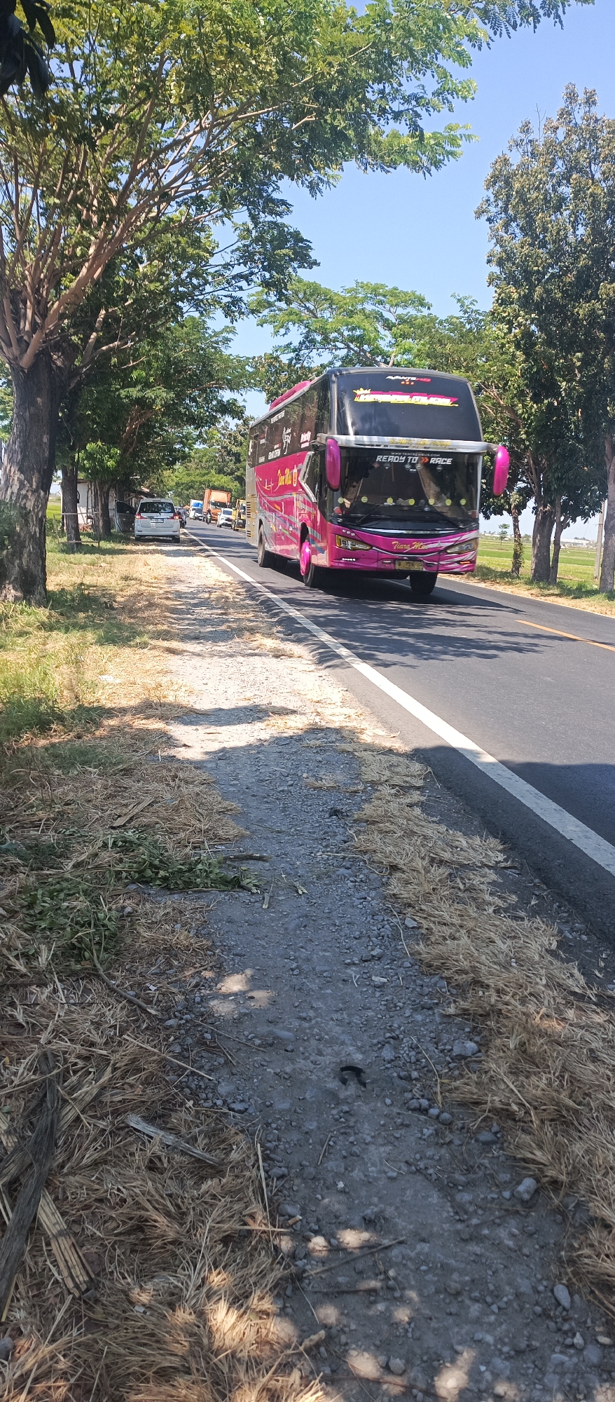 A pink and black intercity bus drives on a paved road in Landangan, Indonesia. The bus has "READY TO RACE" written on its front. The road is bordered by a grassy shoulder with dry vegetation. Trees with green leaves line the side of the road. Other vehicles, including a white car and a truck, are visible further down the road. The sky is clear and blue.