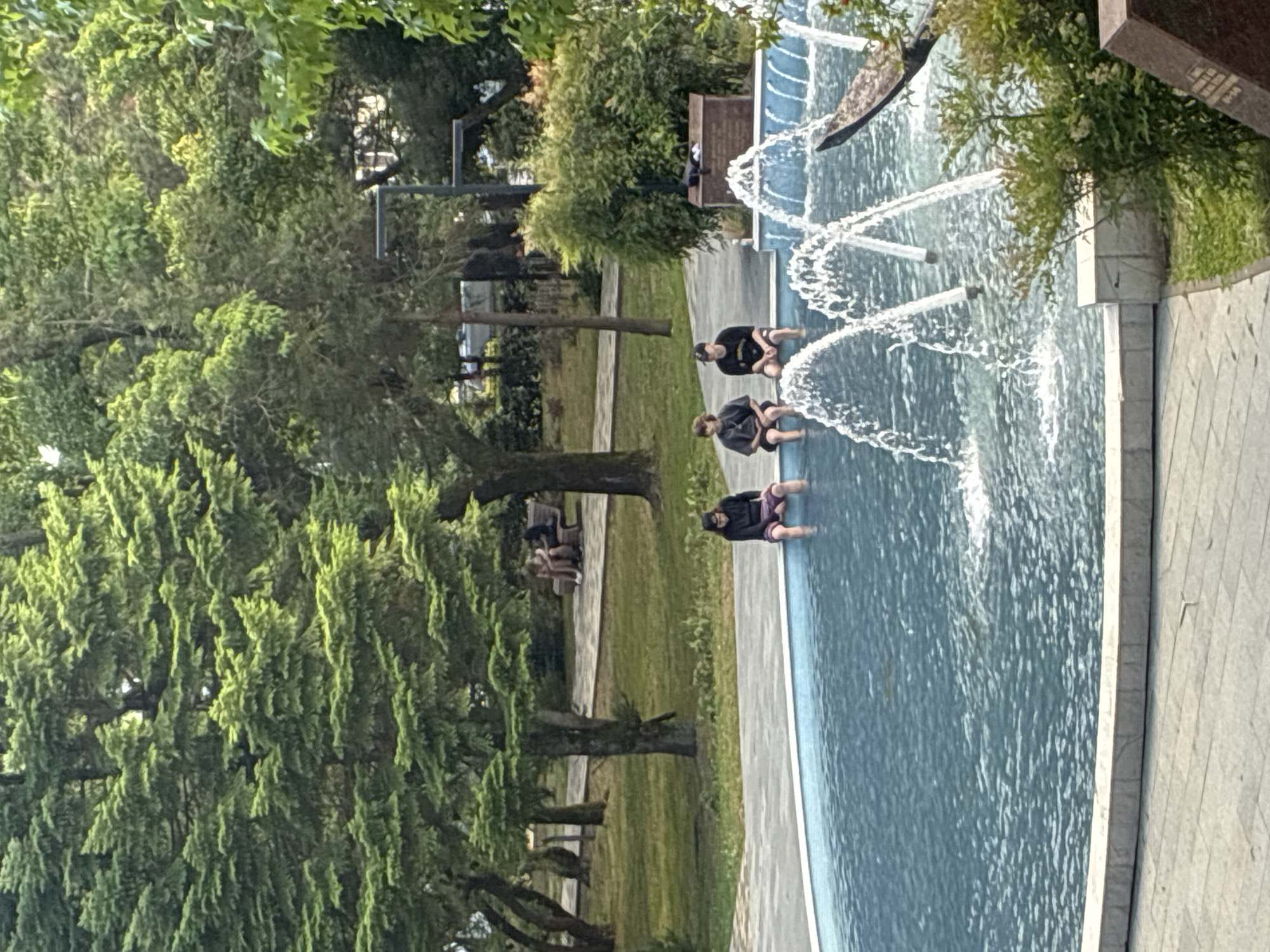 In a park setting in Sochi, Russia, four individuals are seated in a shallow fountain, with their legs submerged in the water. Two of the people are wearing black shirts and shorts, and the other two are wearing black tops and purple shorts. The fountain is wide and filled with clear blue water, with water jets creating a spray. Lush green trees and grass surround the fountain, suggesting a warm, pleasant day. The overall scene conveys a sense of leisure and relaxation as people cool off in the water. The time of day appears to be daytime, likely afternoon, given the sunlight.