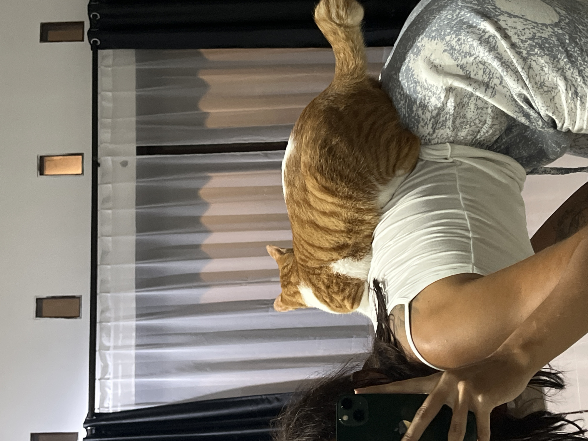 An indoor, sideways-oriented photograph captures a person taking a picture of an orange and white tabby cat resting on their torso. The cat, with prominent orange stripes and white fur on its belly and paws, is seen from its back, with its tail curled upwards. The person, likely female, has long dark hair and is wearing a fitted white top and patterned grey and white shorts or pants. Her arm and hand are visible holding a dark green smartphone, an iPhone with a triple-lens camera system, indicating she is actively using the phone to capture the moment. Her face is mostly obscured by her hair and the phone.
In the background, a window is visible, covered by horizontal sheer white blinds. Behind the blinds, darker fabric or window frames create striped shadows. A black curtain rod and dark curtains frame the window. To the left of the window, a white wall features three rectangular recessed sections, each with a golden-brown interior, possibly decorative niches or small shelves. The lighting suggests it is daytime, with light filtering through the blinds. There is no visible text in the image. The location context for this scene is Kuta Selatan, Indonesia.