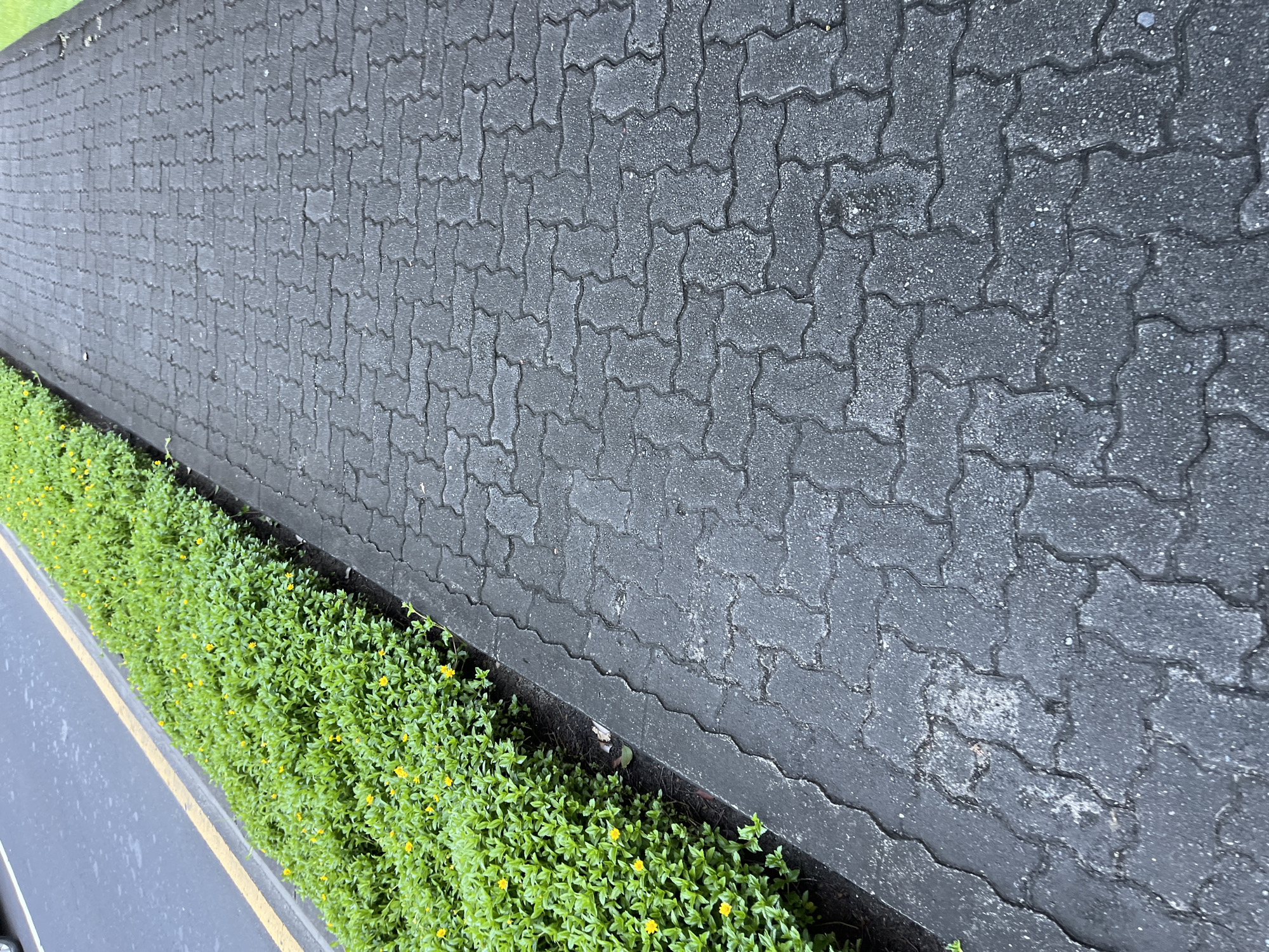 The image shows a gray interlocking brick pavement alongside a dense patch of green plants with small yellow flowers. A road with a yellow line is visible on the left side of the frame. The location is in the city of Unknown, Indonesia.