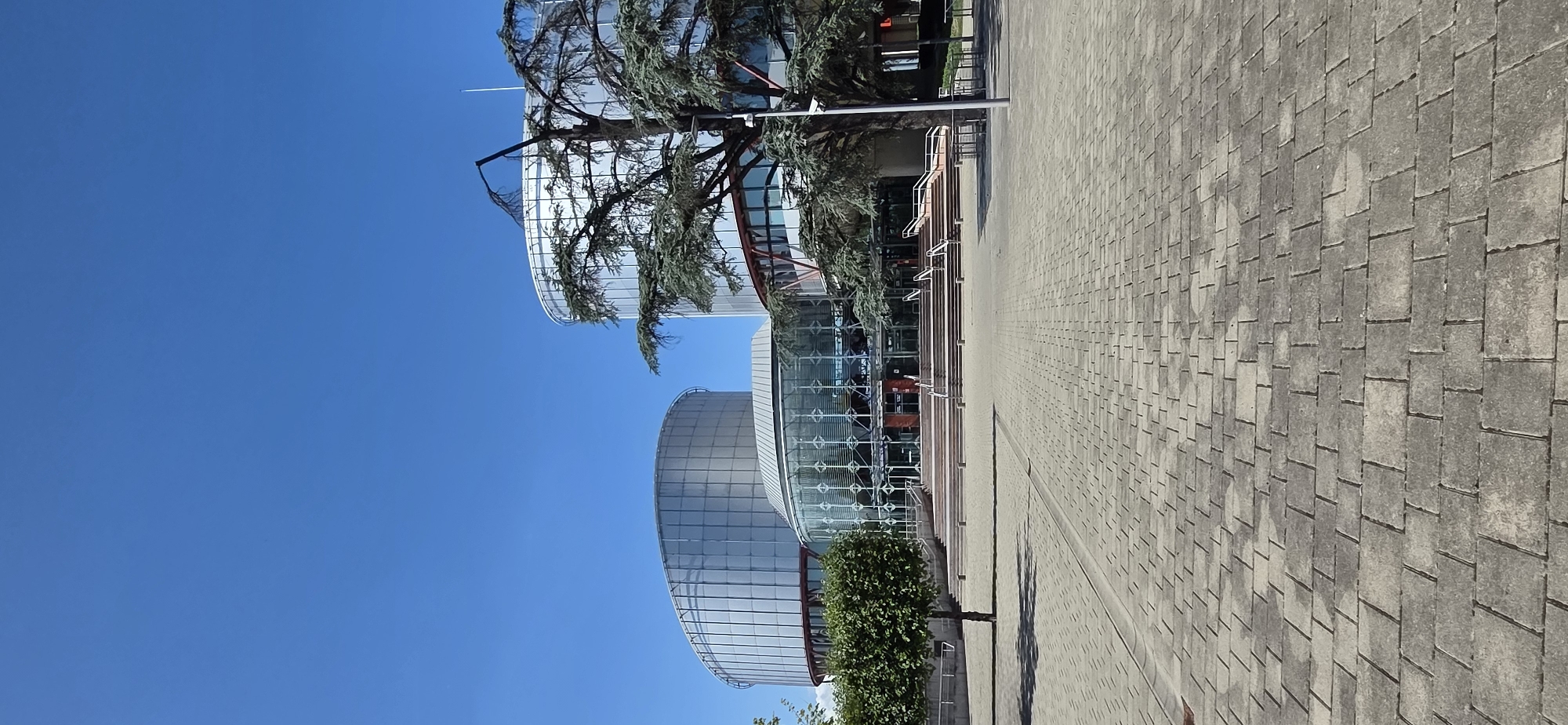 The image captures a modern architectural building with a curved, glass facade, under a clear blue sky. A large tree with dense green foliage is positioned in front of the building, its branches extending towards the glass. A paved walkway made of grey rectangular stones runs alongside the building, creating a sense of perspective as it recedes into the distance. The walkway is clean and well-maintained, with visible patterns formed by the arrangement of the stones. The building itself appears to be part of a larger complex, with another curved section visible in the background. The time of day is likely daytime, given the bright sunlight casting shadows on the walkway. The weather is clear and sunny, indicated by the vivid blue of the sky and the strong lighting. The scene suggests an outdoor public space, possibly a campus or a government building, given the formal and modern design. There are no visible people actively engaged in any specific activity in the frame, though the overall impression is one of a peaceful and orderly environment. The architectural style is contemporary, emphasizing glass and smooth curves, possibly indicating a place of importance or public access. The location is identified as Strasbourg, France.