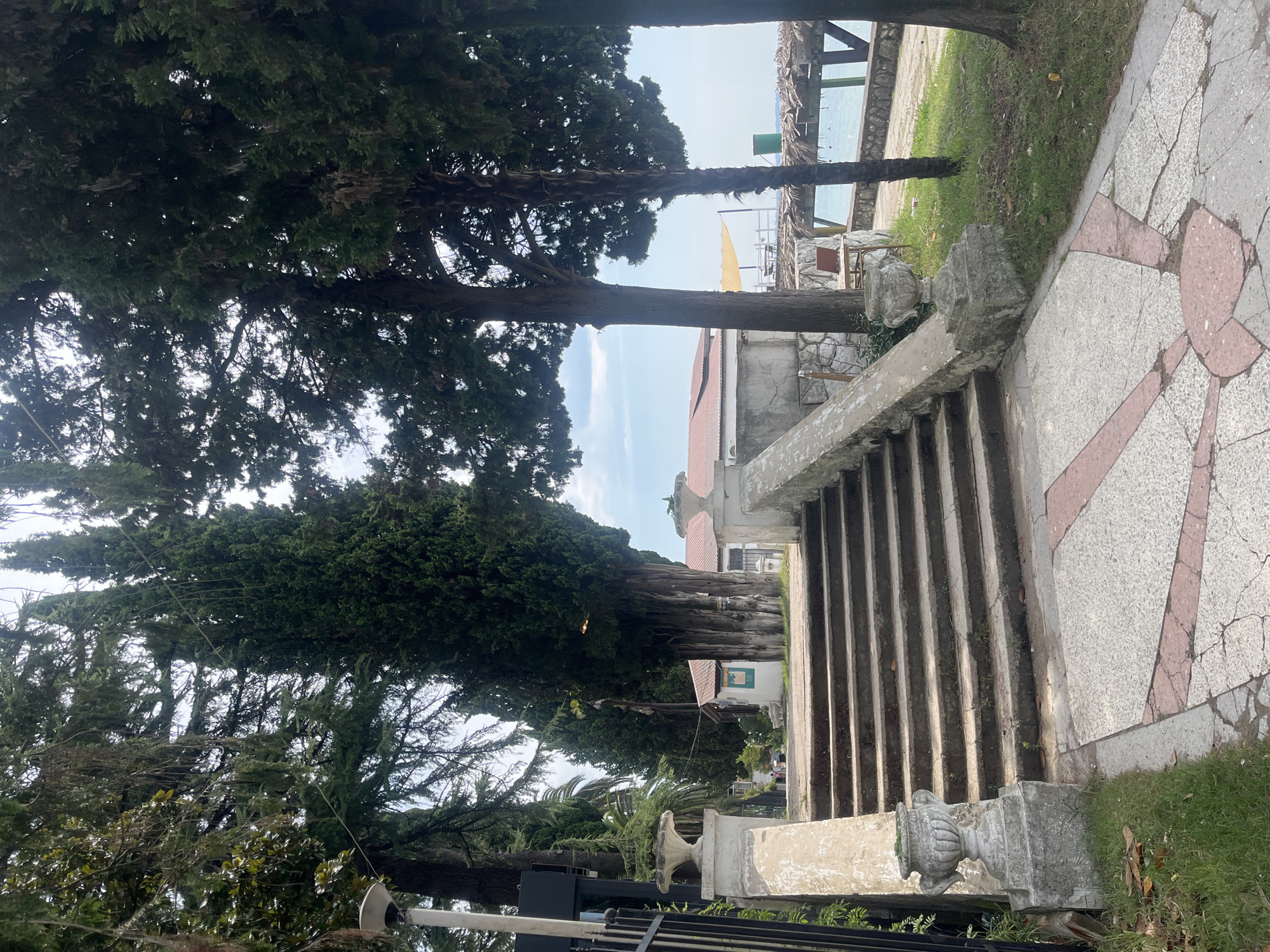 The image depicts a stone staircase leading upwards, flanked by large cypress trees and some smaller ornamental bushes. The staircase is bordered by ornate stone vases. At the top of the stairs, a building with a red tiled roof is visible, along with more trees and a glimpse of the sea in the background. The scene appears to be a pathway or entrance to a recreational area, possibly a park or a resort, in Sokhumi, Abkhazia. The lighting suggests it is daytime.