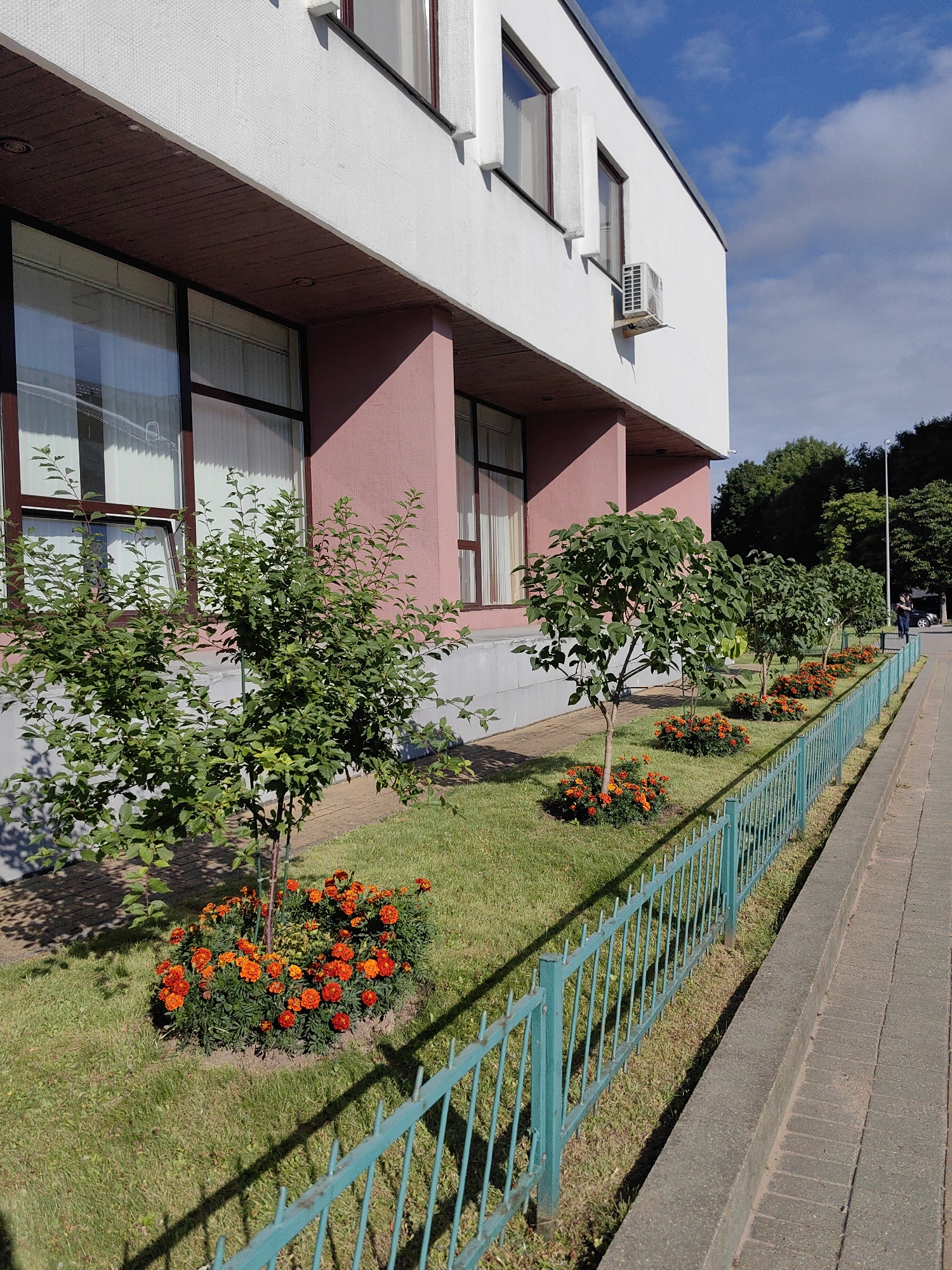 The image shows the exterior of a white and pink building, likely an office or institutional building, with large windows. In front of the building is a well-maintained lawn with several small trees and clusters of orange marigolds. A light teal metal fence runs along the edge of the lawn, separating it from a paved walkway. The sky is blue with scattered clouds. The scene suggests a public or commercial space in an urban environment. Based on the architectural style and the overall appearance, this scene could be in Minsk, Belarus. There is a person visible in the distance on the walkway, walking away from the camera. An air conditioning unit is mounted on the exterior wall of the building.
