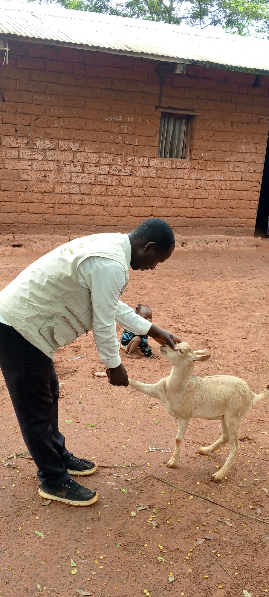 In Ngalula, Democratic Republic of the Congo, an adult male wearing dark trousers, black shoes, and a light-colored button-down shirt with a vest is interacting with a light-colored goat on a dirt surface. A child is nearby, seated on the ground. Behind them is a brick building with a window covered by curtains, under a corrugated metal roof. Debris is scattered on the ground.