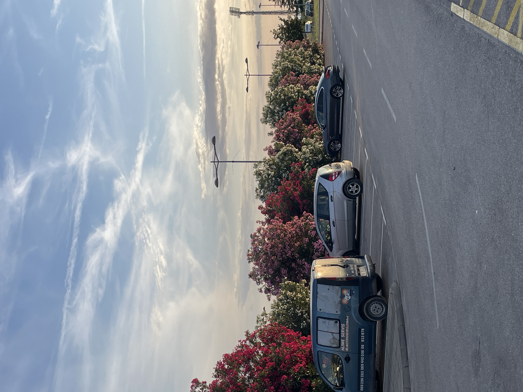 This image depicts an outdoor parking area and adjacent roadway in the city of Bar, Montenegro, captured during twilight or late afternoon. The sky occupies the upper portion, displaying a gradient from pale blue at the zenith to soft orange and pink hues near the horizon, indicative of a sunset. Wispy cirrus and stratocumulus clouds are scattered across the sky, with visible contrails.
In the foreground, an asphalt pavement surface with white dashed lane markings and solid parking lines is visible. A yellow and black striped curb runs along the right edge of the foreground. On the left, a light blue panel van, bearing the inscription "KLIME SERVIS ELEKTRONSTALACIJE" (Air Conditioning Service Electrical Installations) and phone numbers "069 296 263 069 442 000 06 813 878", is parked; its rear license plate "PG TT 415" is partially visible. Adjacent to it, a silver compact car (appearing to be a Mercedes A-Class) is parked. Further right, a dark grey sedan (resembling a BMW 4 Series Gran Coupe) is also parked.
A dense, long hedge of flowering bushes, primarily oleander, stretches horizontally across the midground, showcasing vibrant red, various shades of pink, and white blossoms. Several black, modern streetlights with dual luminaires extend above these bushes. In the distant background, to the right, tall floodlight towers characteristic of a sports stadium or similar facility are visible. No individuals are present or engaged in any activities within the visible frame.