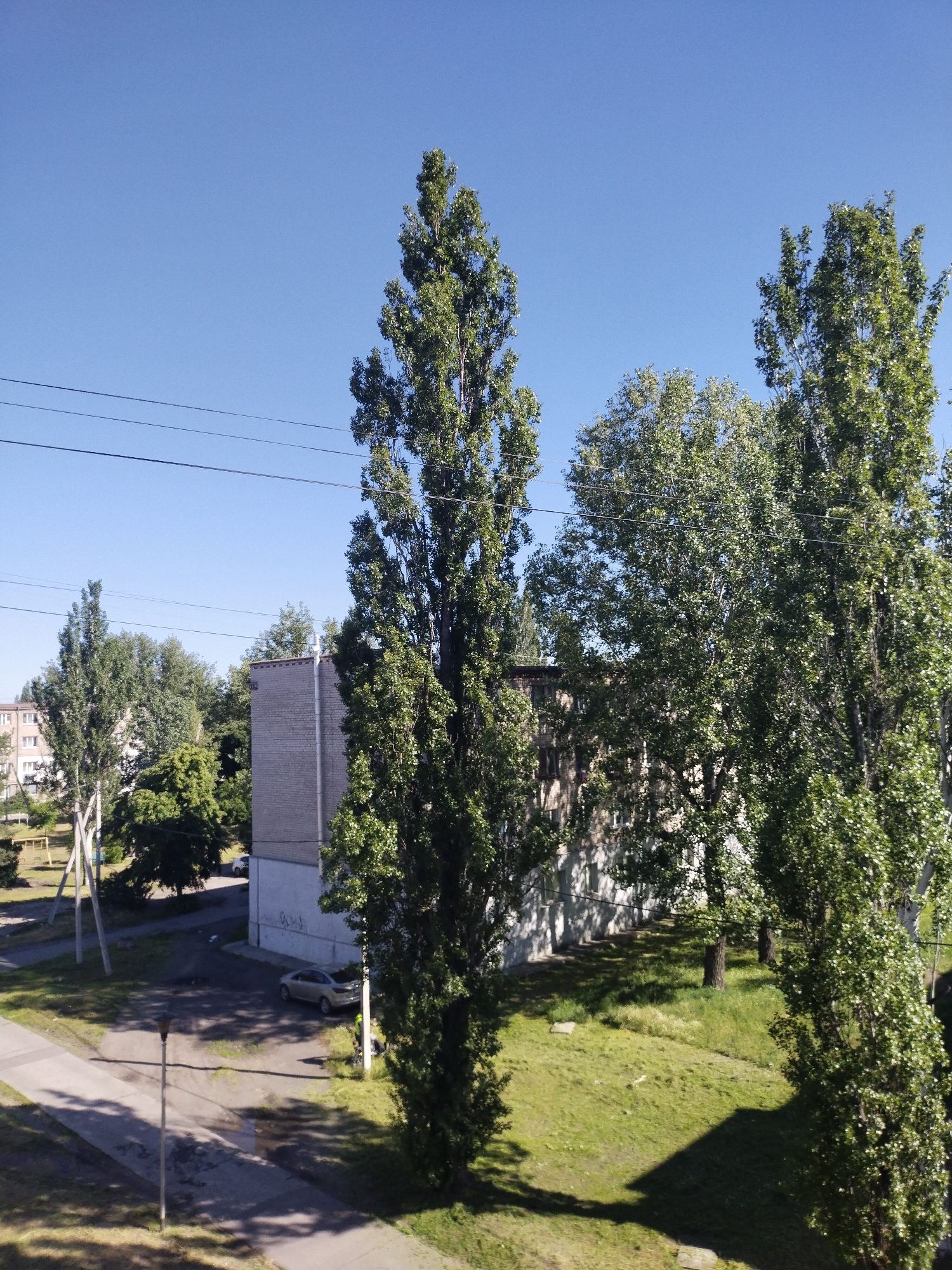 The image depicts an outdoor scene in Horishni Plavni, Ukraine. In the foreground are tall, slender trees with green foliage. Behind them is a grassy area adjacent to a building constructed of light-colored brick or concrete blocks. A car is parked near the building. A paved sidewalk or road is visible in the foreground and extends to the left side of the frame. In the background, more buildings and trees can be seen. Power lines are stretched across the clear blue sky. The scene suggests a residential or mixed-use area within the city.