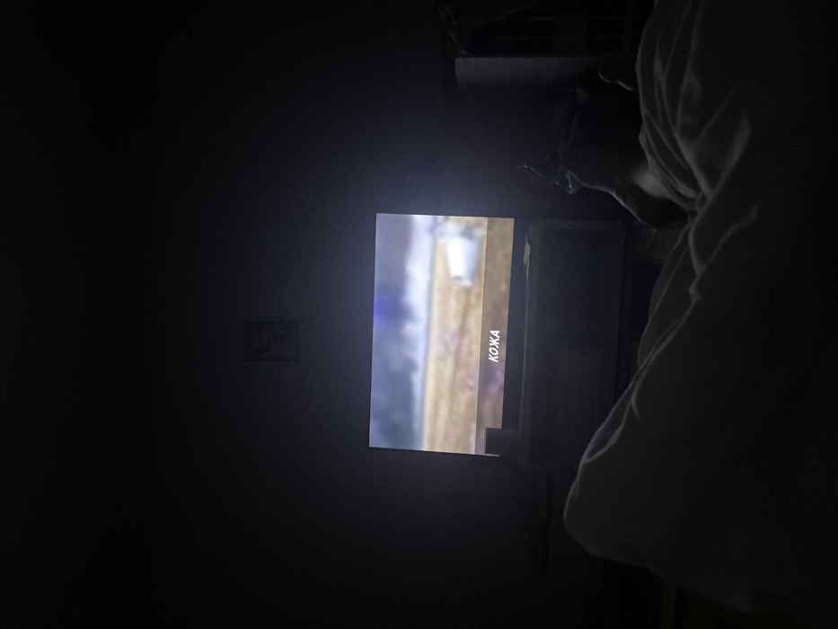 The scene depicts an interior room in the city of Senden, Germany, characterized by low ambient light, primarily illuminated by a television screen. One individual is partially visible in the foreground, lying down under a light-colored duvet or blanket, with their head oriented towards a centrally positioned flat-screen television. The television displays a wide shot of an outdoor landscape, featuring a dark or stormy sky above an open field, with a white, indistinct object visible on the right side of the screen. Subtitles reading "КОЖА" (KOZHA, meaning "SKIN" in Cyrillic) are present at the bottom of the television display. The television rests on a dark media console, which has a light-colored object positioned on its left side. A small, framed item is faintly discernible on the wall directly above the television. Additional furniture or objects are indistinctly visible in the darkened background to the right of the frame.