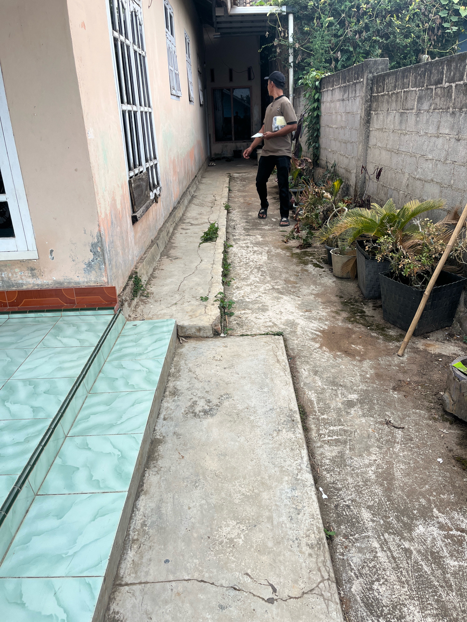 The image depicts a narrow, outdoor alleyway between two buildings. The building on the left has a light-colored, slightly faded facade with a large window featuring white bars. A tiled walkway with light green tiles is visible in the foreground, leading away from the building. The alleyway itself is paved with cracked concrete, with some sparse vegetation growing along the edges.
On the right side of the alley, a concrete block wall forms a boundary, covered in light gray concrete with some visible aging and wear. Various potted plants are placed along this wall, including a large potted palm tree and other smaller, somewhat dried-out plants. A long, thin wooden pole is propped up against the wall next to the plants.
A man, wearing a dark baseball cap, a light brown short-sleeved shirt, black pants, and black sandals, is walking away from the camera down the alleyway. He is holding a white object, possibly a book or a container, in his left hand. His posture suggests he is walking at a moderate pace.
The scene appears to be in a residential or less-developed urban area, consistent with locations in Muara Dua, Indonesia, given the architectural style and the presence of outdoor potted plants and a concrete block wall. The lighting suggests it is daytime, with the sun casting some shadows. The overall impression is one of a functional but somewhat unkempt outdoor space.