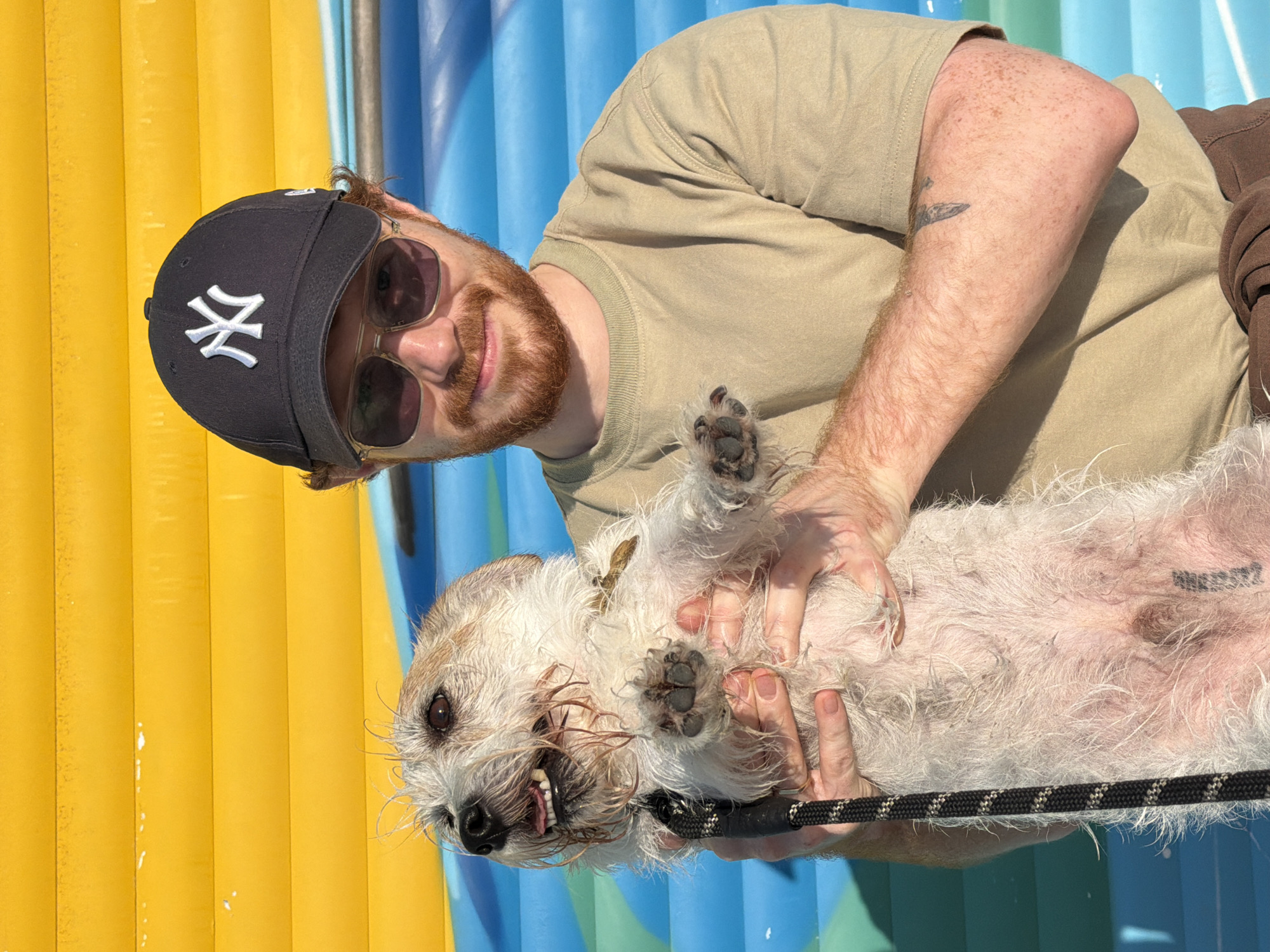 A man wearing a black baseball cap with a white "NY" logo, sunglasses, and a tan t-shirt is holding a wet, white, small dog on its back. The man has red hair and a beard. The dog is held up with its paws in the air. The background is a yellow and blue inflatable structure. The image was taken in Bat Yam, Israel.