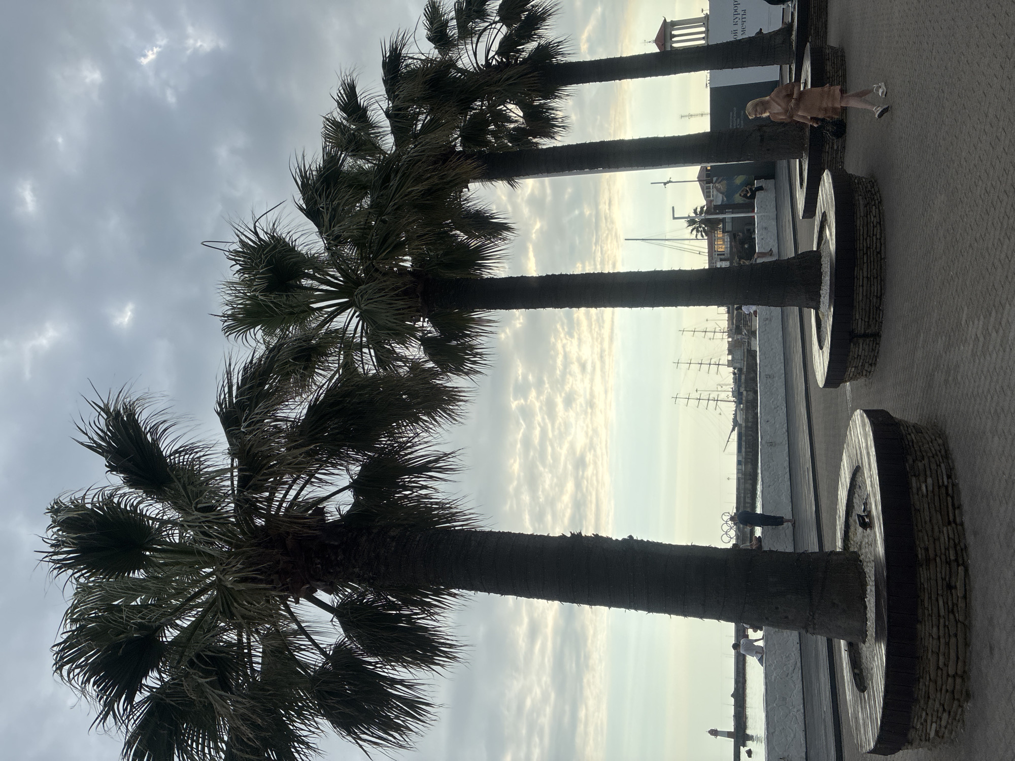 The image depicts a waterfront promenade in Sochi, Russia, likely near the Sochi Sea Port. Several tall palm trees dominate the foreground, with their trunks casting shadows on the paved walkway. Round, stone-and-wood planters surround the bases of the trees. In the background, a white wall runs along the waterfront, with several people seated or standing on it. A lighthouse is visible on the left, and a large sailing ship is moored in the harbor on the right. A woman in a light-colored dress is walking on the promenade in the middle right of the frame. The sky is overcast with textured clouds, suggesting it is either early morning or late afternoon. The overall atmosphere is calm and suggests a leisurely environment.